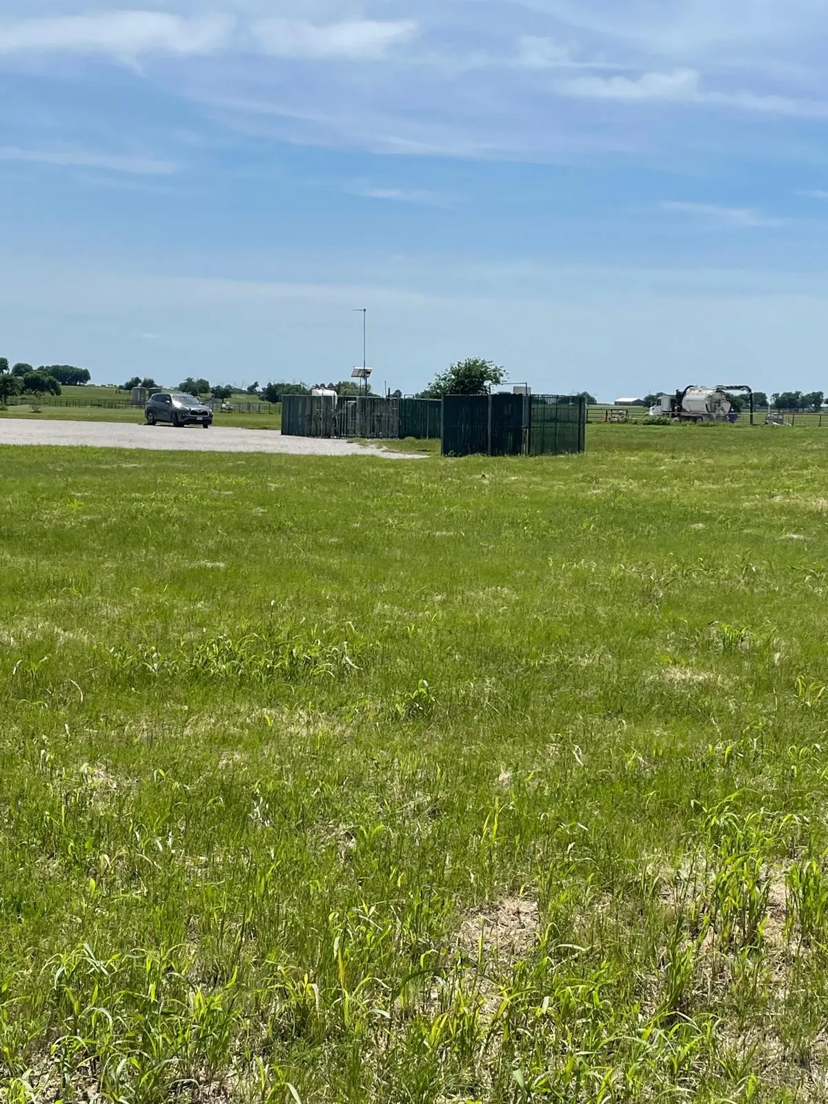 Expansive green field with natural ground cover