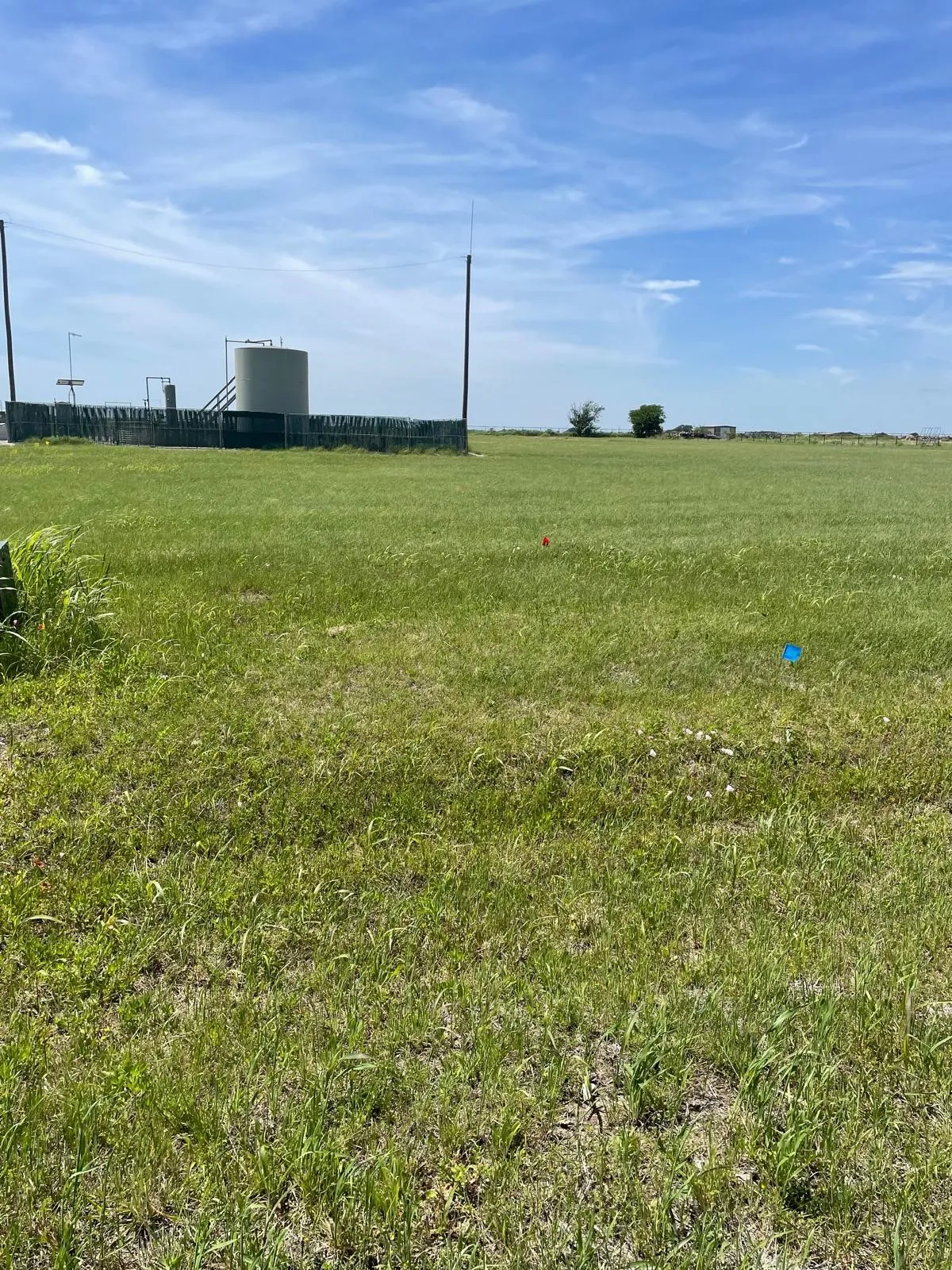 Expansive green field with a clear sky backdrop