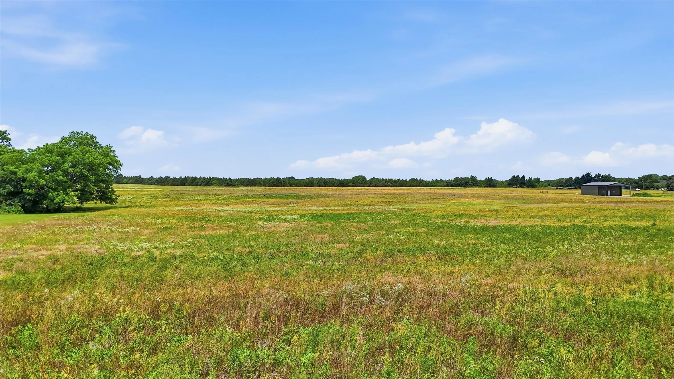 Unimproved Land For Sale in Grayson County , Tracts 4 and 5 Sandusky Road, Whitesboro, Texas 76273, 0, 0, Garage spaces, 0 Sqft, built in 0, mls#21269583, Real Estate Agent in Whitesboro, Homes For Sale in Grayson county, Homes For Sale in Whitesboro, Realtor in Whitesboro Texas, Real Estate Brokerage Independent Realty Texas, Luminita Cordes Realtor