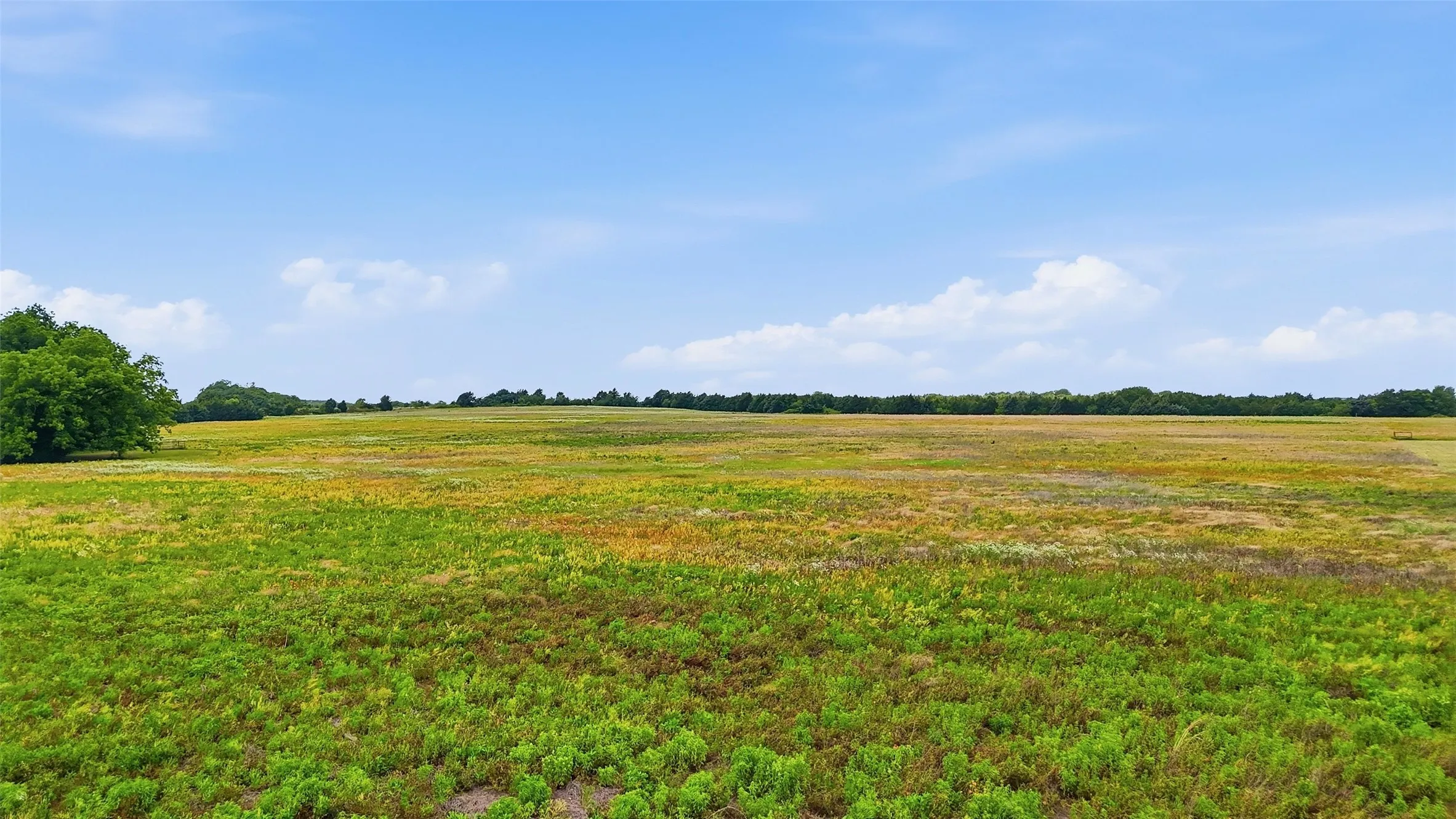 Unimproved Land For Sale in Grayson County , Tracts 4 and 5 Sandusky Road, Whitesboro, Texas 76273, 0, 0, Garage spaces, 0 Sqft, built in 0, mls#21269583, Real Estate Agent in Whitesboro, Homes For Sale in Grayson county, Homes For Sale in Whitesboro, Realtor in Whitesboro Texas, Real Estate Brokerage Independent Realty Texas, Luminita Cordes Realtor
