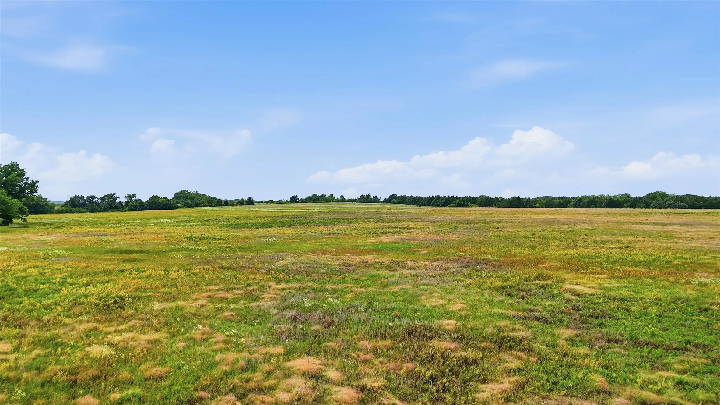 Unimproved Land For Sale in Grayson County , Tracts 4 and 5 Sandusky Road, Whitesboro, Texas 76273, 0, 0, Garage spaces, 0 Sqft, built in 0, mls#21269583, Real Estate Agent in Whitesboro, Homes For Sale in Grayson county, Homes For Sale in Whitesboro, Realtor in Whitesboro Texas, Real Estate Brokerage Independent Realty Texas, Luminita Cordes Realtor