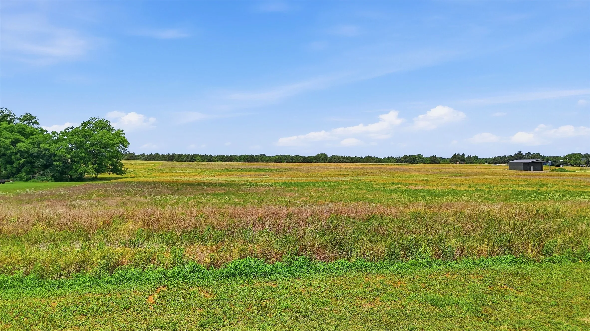 Unimproved Land For Sale in Grayson County , Tracts 4 and 5 Sandusky Road, Whitesboro, Texas 76273, 0, 0, Garage spaces, 0 Sqft, built in 0, mls#21269583, Real Estate Agent in Whitesboro, Homes For Sale in Grayson county, Homes For Sale in Whitesboro, Realtor in Whitesboro Texas, Real Estate Brokerage Independent Realty Texas, Luminita Cordes Realtor