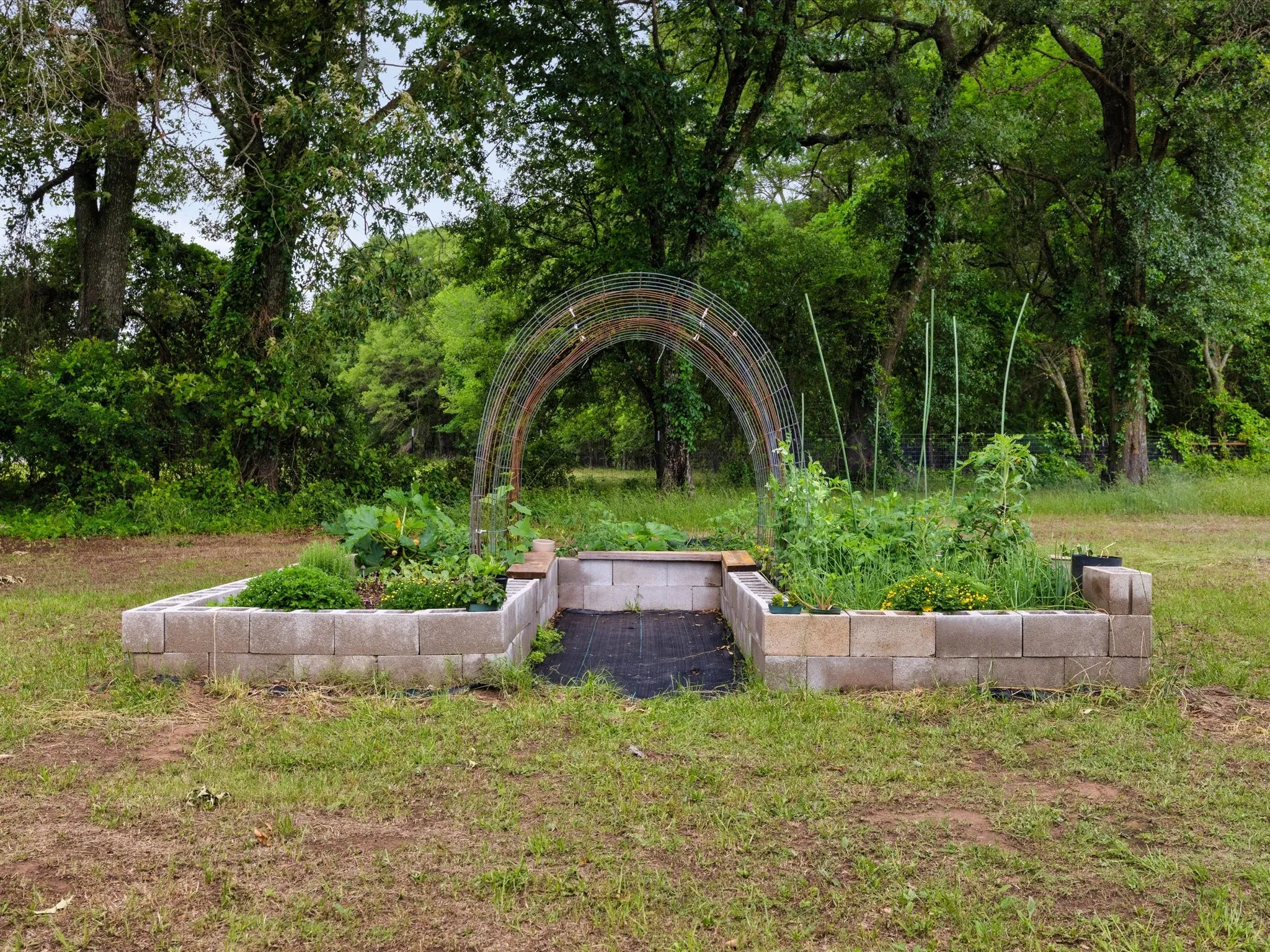 Single Family Residence For Sale in Rains County , 300 Rs County Road 3367, Emory, Texas 75440, 3 Bedrooms, 2 Bathrooms, Garage spaces, 1,626 Sqft, built in 1998, Price $509,995, mls#21272602, Real Estate Agent in Emory, Homes For Sale in Rains county, Homes For Sale in Emory, Realtor in Emory Texas, Real Estate Brokerage Independent Realty Texas, Luminita Cordes Realtor