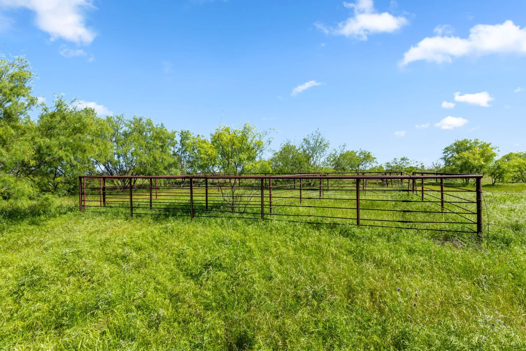 Ranch For Sale in Montague County , 794.5 ac HWY 82, Montague, Texas 76261, 0, 0, Garage spaces, 0 Sqft, built in 0, Price $5,000,000, mls#21272924, Real Estate Agent in Montague, Homes For Sale in Montague county, Homes For Sale in Montague, Realtor in Montague Texas, Real Estate Brokerage Independent Realty Texas, Luminita Cordes Realtor
