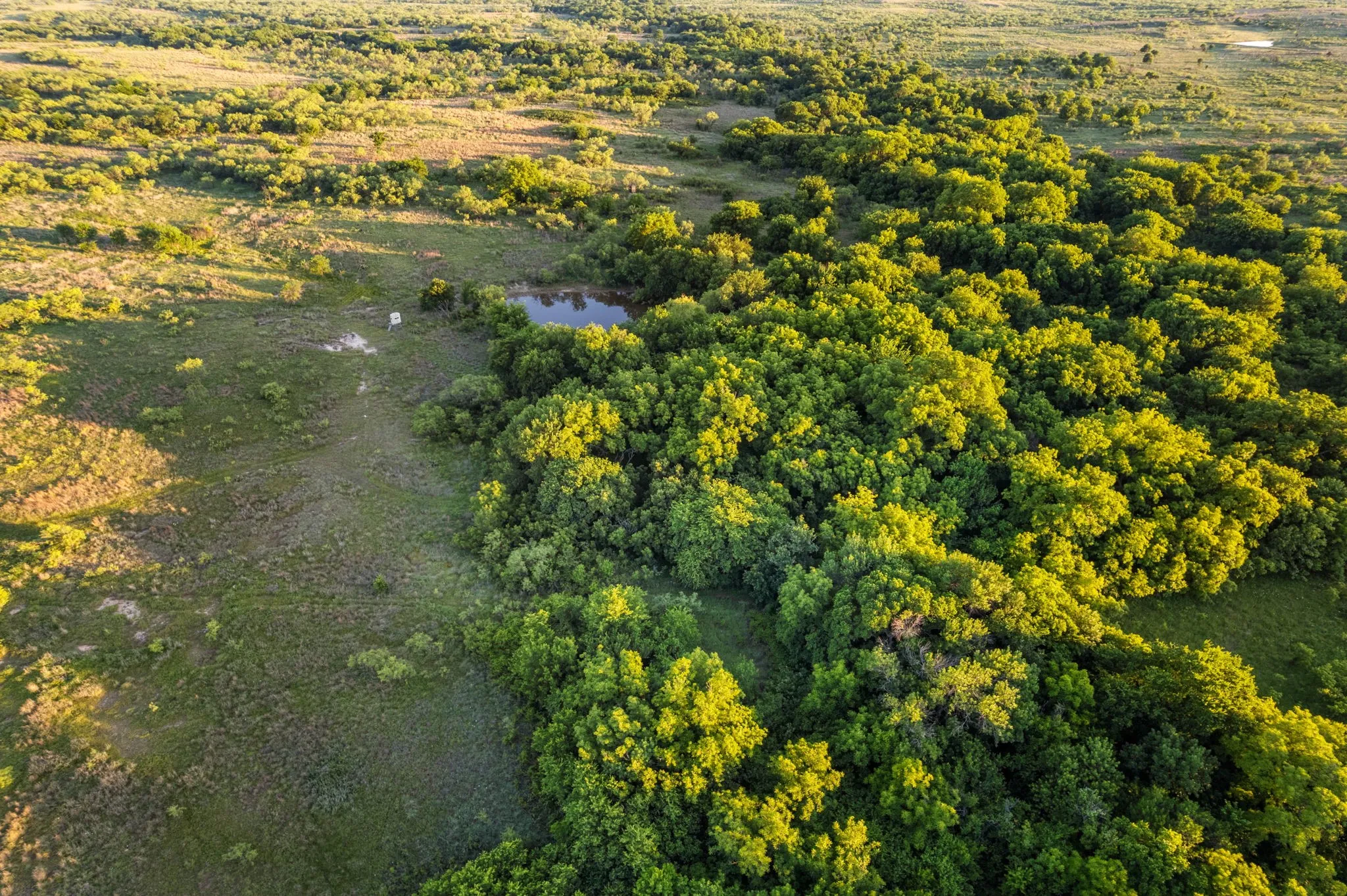Ranch For Sale in Montague County , 794.5 ac HWY 82, Montague, Texas 76261, 0, 0, Garage spaces, 0 Sqft, built in 0, Price $5,000,000, mls#21272924, Real Estate Agent in Montague, Homes For Sale in Montague county, Homes For Sale in Montague, Realtor in Montague Texas, Real Estate Brokerage Independent Realty Texas, Luminita Cordes Realtor
