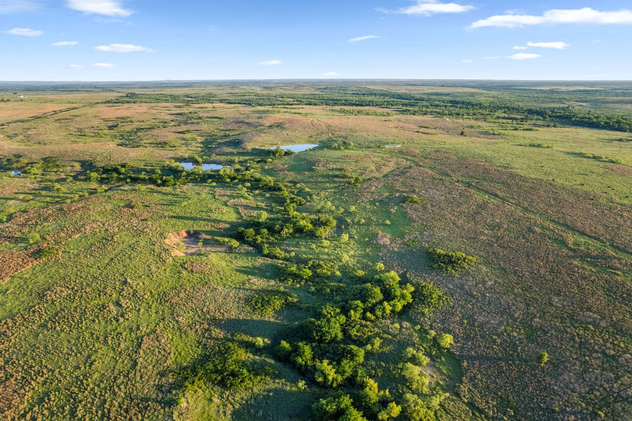 Ranch For Sale in Montague County , 794.5 ac HWY 82, Montague, Texas 76261, 0, 0, Garage spaces, 0 Sqft, built in 0, Price $5,000,000, mls#21272924, Real Estate Agent in Montague, Homes For Sale in Montague county, Homes For Sale in Montague, Realtor in Montague Texas, Real Estate Brokerage Independent Realty Texas, Luminita Cordes Realtor
