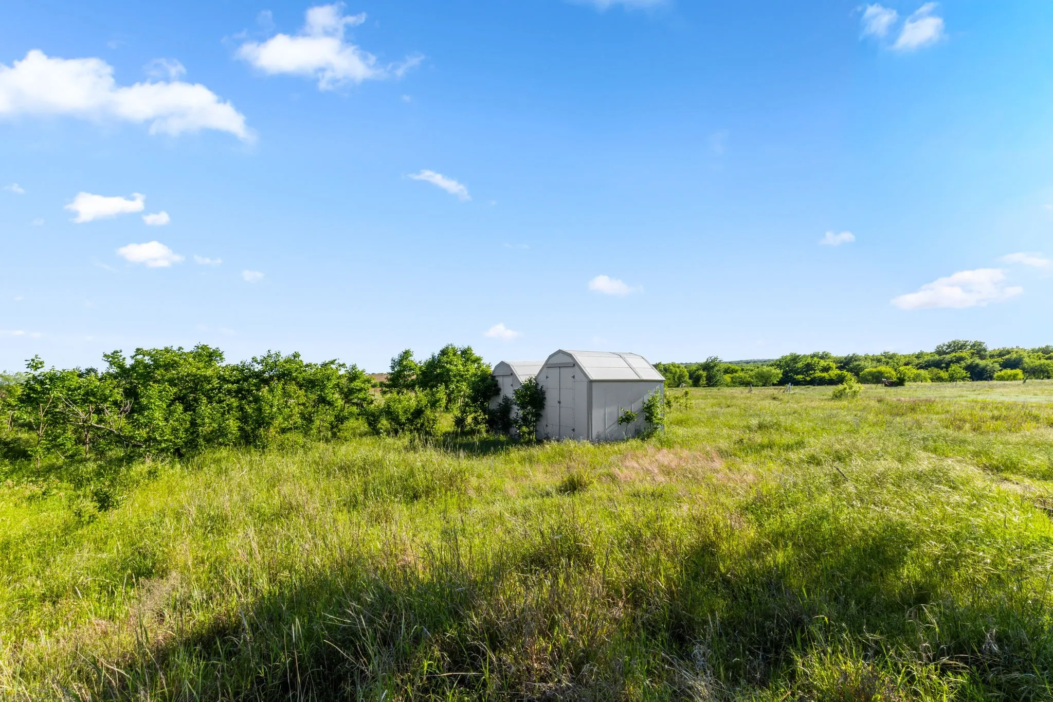 Ranch For Sale in Montague County , 794.5 ac HWY 82, Montague, Texas 76261, 0, 0, Garage spaces, 0 Sqft, built in 0, Price $5,000,000, mls#21272924, Real Estate Agent in Montague, Homes For Sale in Montague county, Homes For Sale in Montague, Realtor in Montague Texas, Real Estate Brokerage Independent Realty Texas, Luminita Cordes Realtor