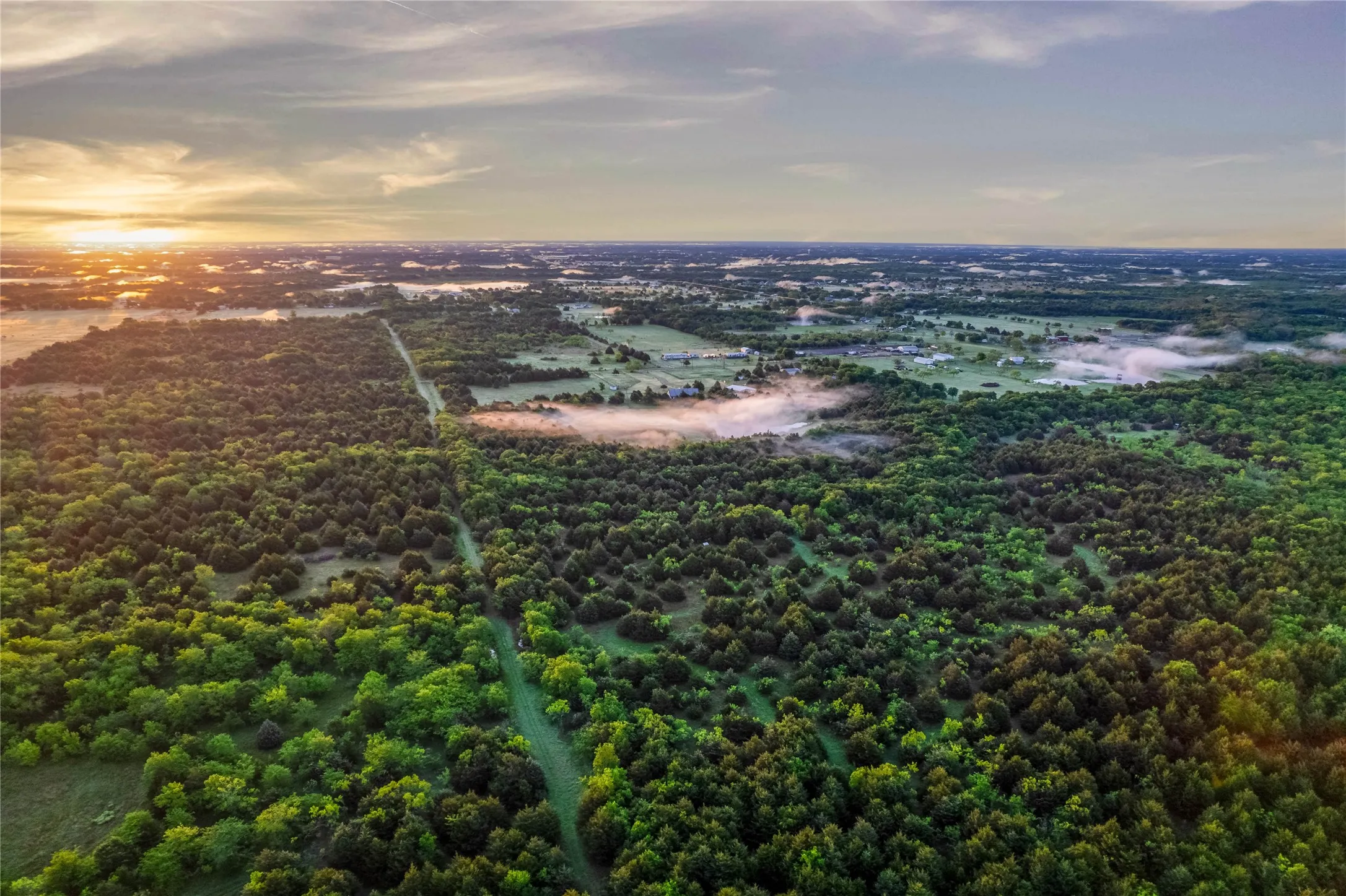 Expansive aerial landscape featuring a mix of dense tree cover and open clearings
