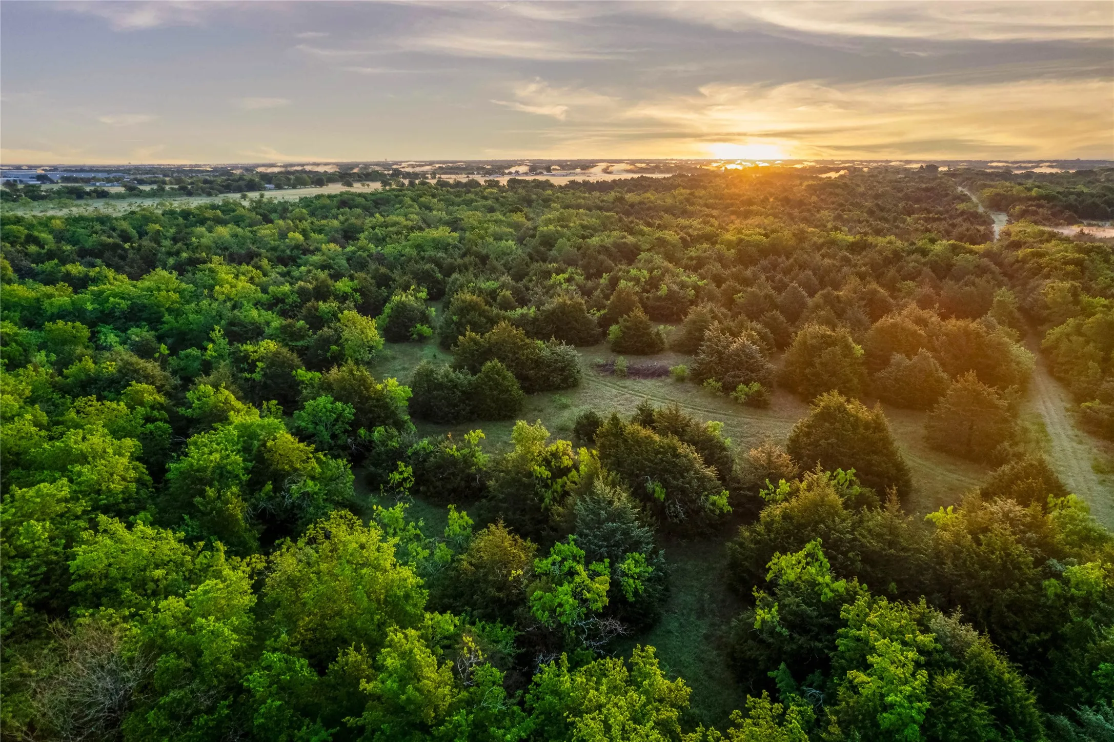 Expansive wooded landscape featuring mature trees and clearings
