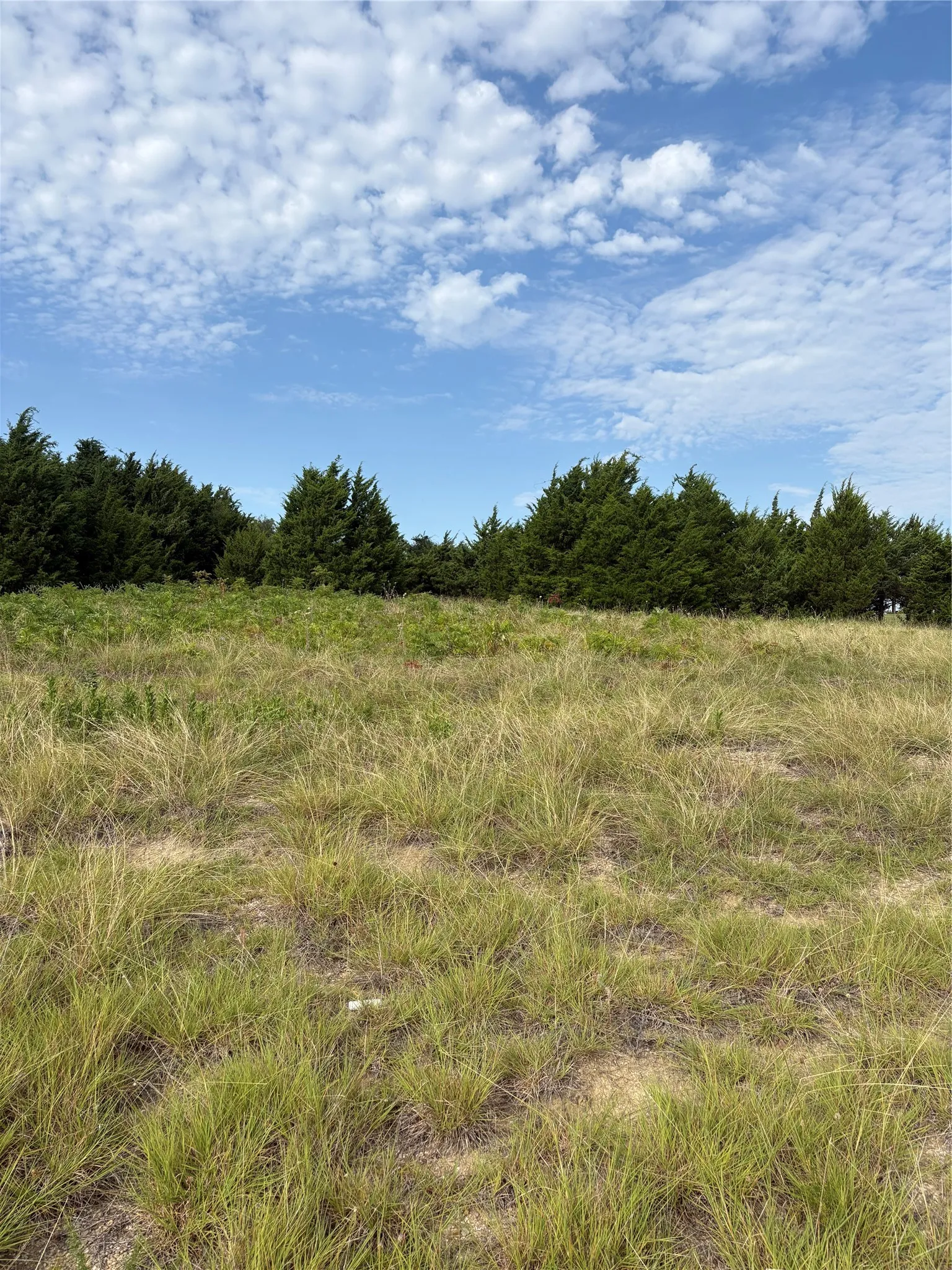 Unimproved Land For Sale in Collin County , Lot 6 County Road 439, Princeton, Texas 75407, 0, 0, Garage spaces, 0 Sqft, built in 0, Price $325,000, mls#21272947, Real Estate Agent in Princeton, Homes For Sale in Collin county, Homes For Sale in Princeton, Realtor in Princeton Texas, Real Estate Brokerage Independent Realty Texas, Luminita Cordes Realtor