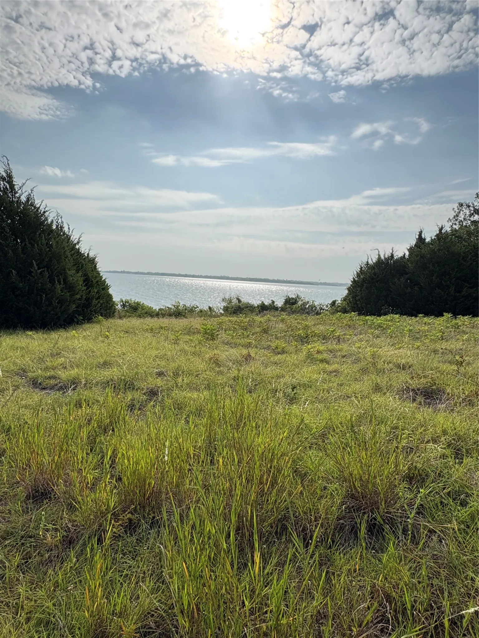 Unimproved Land For Sale in Collin County , Lot 6 County Road 439, Princeton, Texas 75407, 0, 0, Garage spaces, 0 Sqft, built in 0, Price $325,000, mls#21272947, Real Estate Agent in Princeton, Homes For Sale in Collin county, Homes For Sale in Princeton, Realtor in Princeton Texas, Real Estate Brokerage Independent Realty Texas, Luminita Cordes Realtor