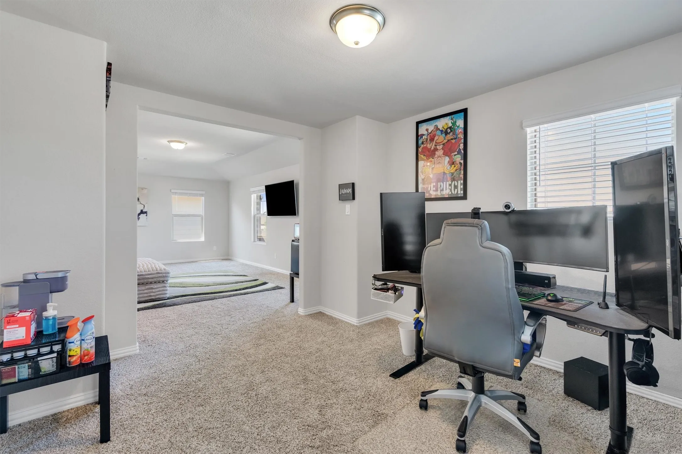 Carpeted room with a ceiling-mounted light fixture and a window with horizontal blinds