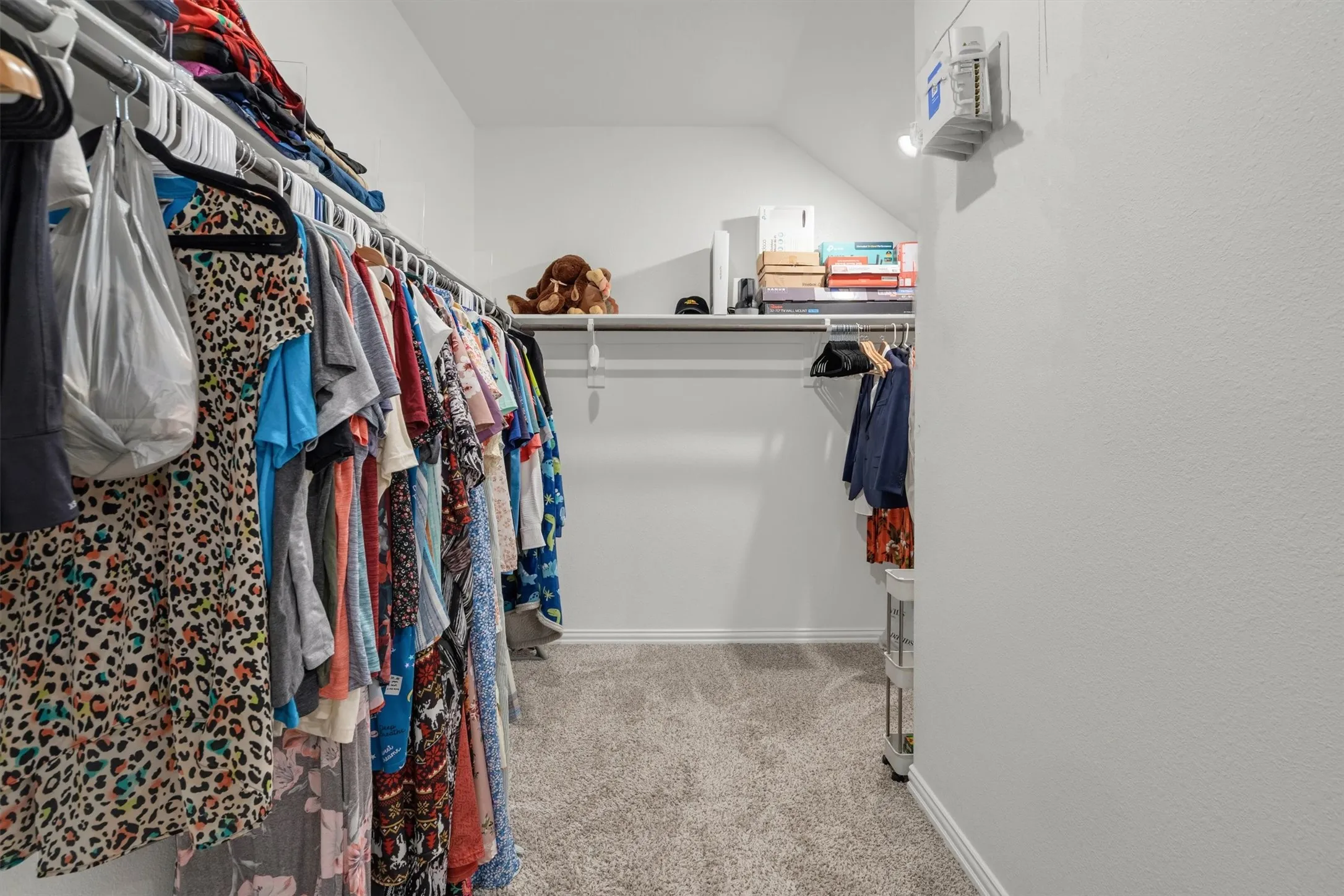 Walk-in closet with carpet flooring, white walls, built-in shelving, and clothes hanging rods
