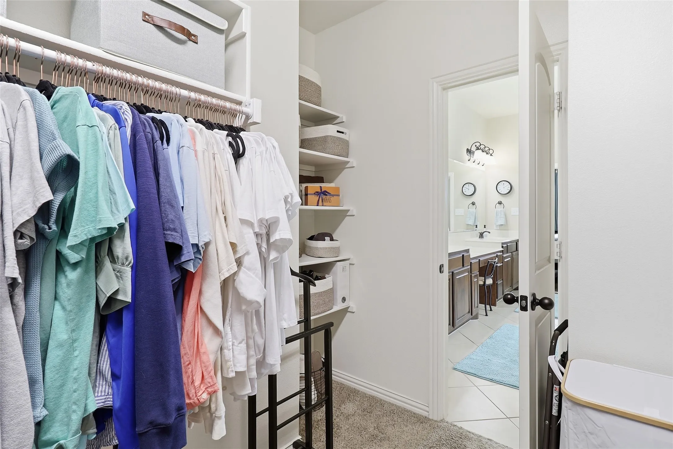 Walk-in closet featuring extensive hanging space, built-in shelving, and carpeted flooring