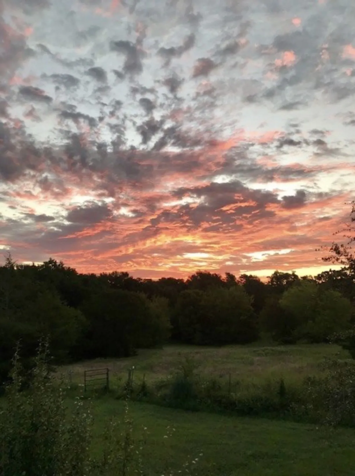 Unimproved Land For Sale in Hunt County , TBD County Road 2320, Terrell, Texas 75160, 0, 0, Garage spaces, 0 Sqft, built in 0, mls#21272953, Real Estate Agent in Terrell, Homes For Sale in Hunt county, Homes For Sale in Terrell, Realtor in Terrell Texas, Real Estate Brokerage Independent Realty Texas, Luminita Cordes Realtor