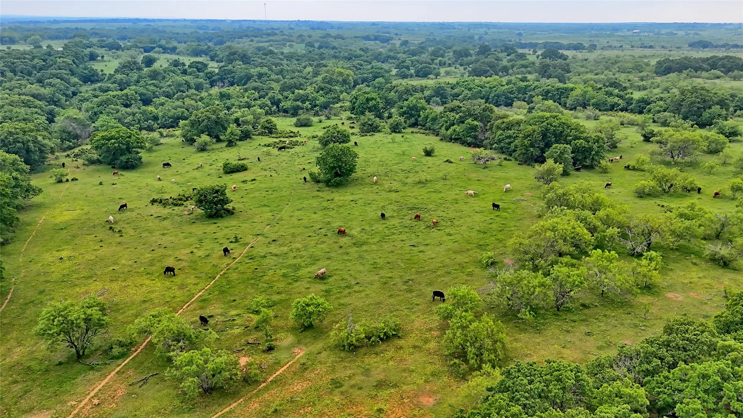 Unimproved Land For Sale in Montague County , TBD Cardwell Road, Ringgold, Texas 76261, 0, 0, Garage spaces, 0 Sqft, built in 0, Price $995,000, mls#21267830, Real Estate Agent in Ringgold, Homes For Sale in Montague county, Homes For Sale in Ringgold, Realtor in Ringgold Texas, Real Estate Brokerage Independent Realty Texas, Luminita Cordes Realtor