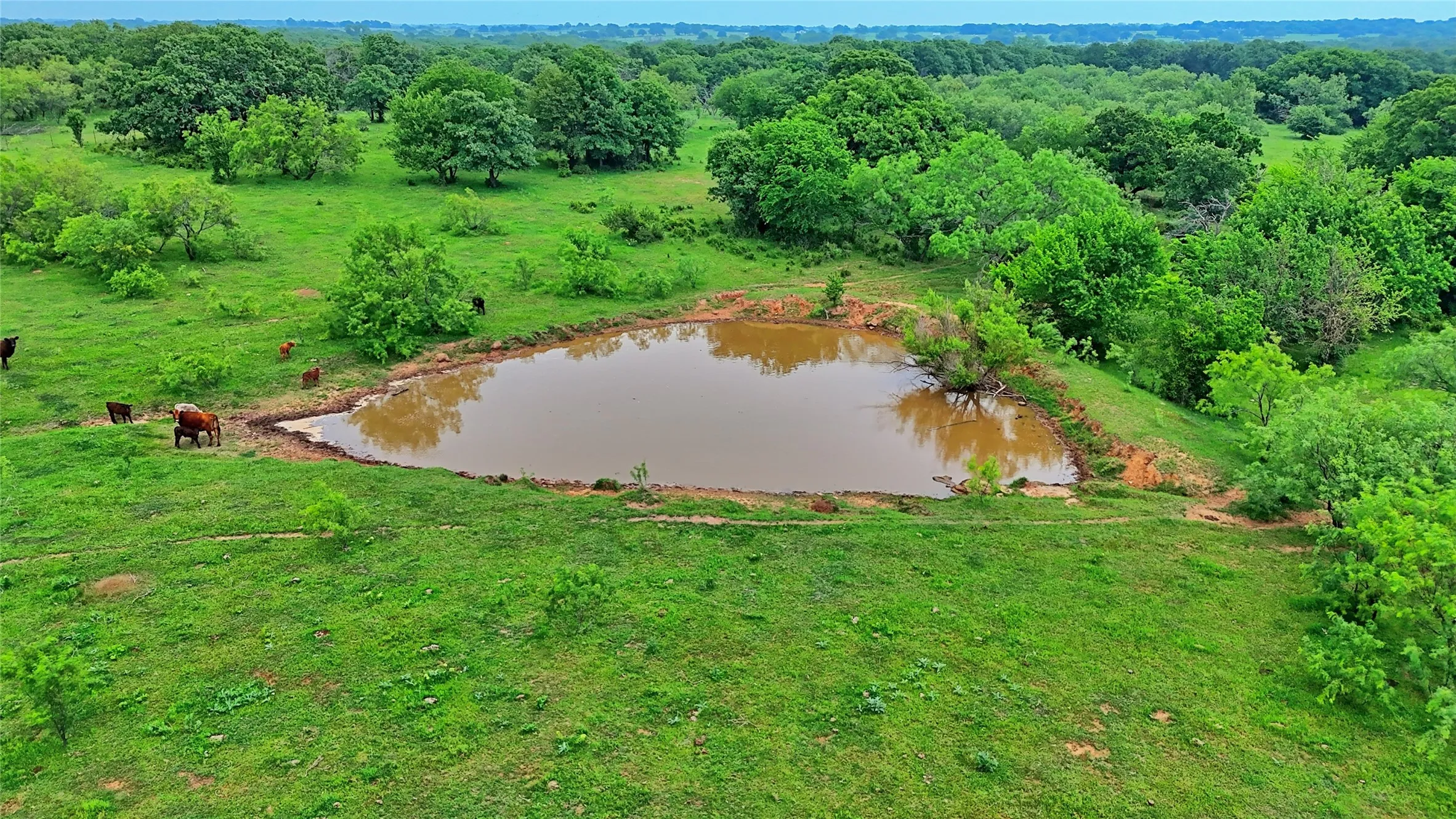 Unimproved Land For Sale in Montague County , TBD Cardwell Road, Ringgold, Texas 76261, 0, 0, Garage spaces, 0 Sqft, built in 0, Price $995,000, mls#21267830, Real Estate Agent in Ringgold, Homes For Sale in Montague county, Homes For Sale in Ringgold, Realtor in Ringgold Texas, Real Estate Brokerage Independent Realty Texas, Luminita Cordes Realtor
