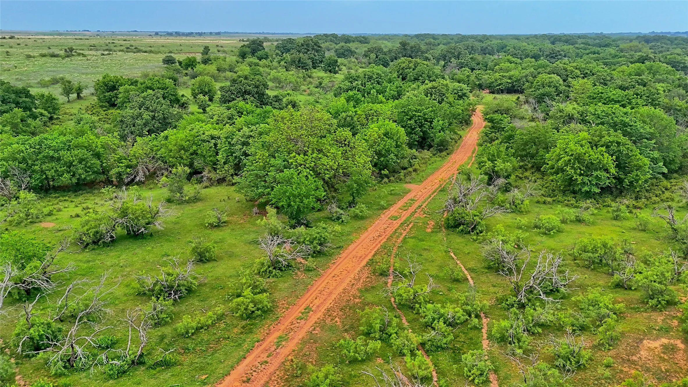 Unimproved Land For Sale in Montague County , TBD Cardwell Road, Ringgold, Texas 76261, 0, 0, Garage spaces, 0 Sqft, built in 0, Price $995,000, mls#21267830, Real Estate Agent in Ringgold, Homes For Sale in Montague county, Homes For Sale in Ringgold, Realtor in Ringgold Texas, Real Estate Brokerage Independent Realty Texas, Luminita Cordes Realtor