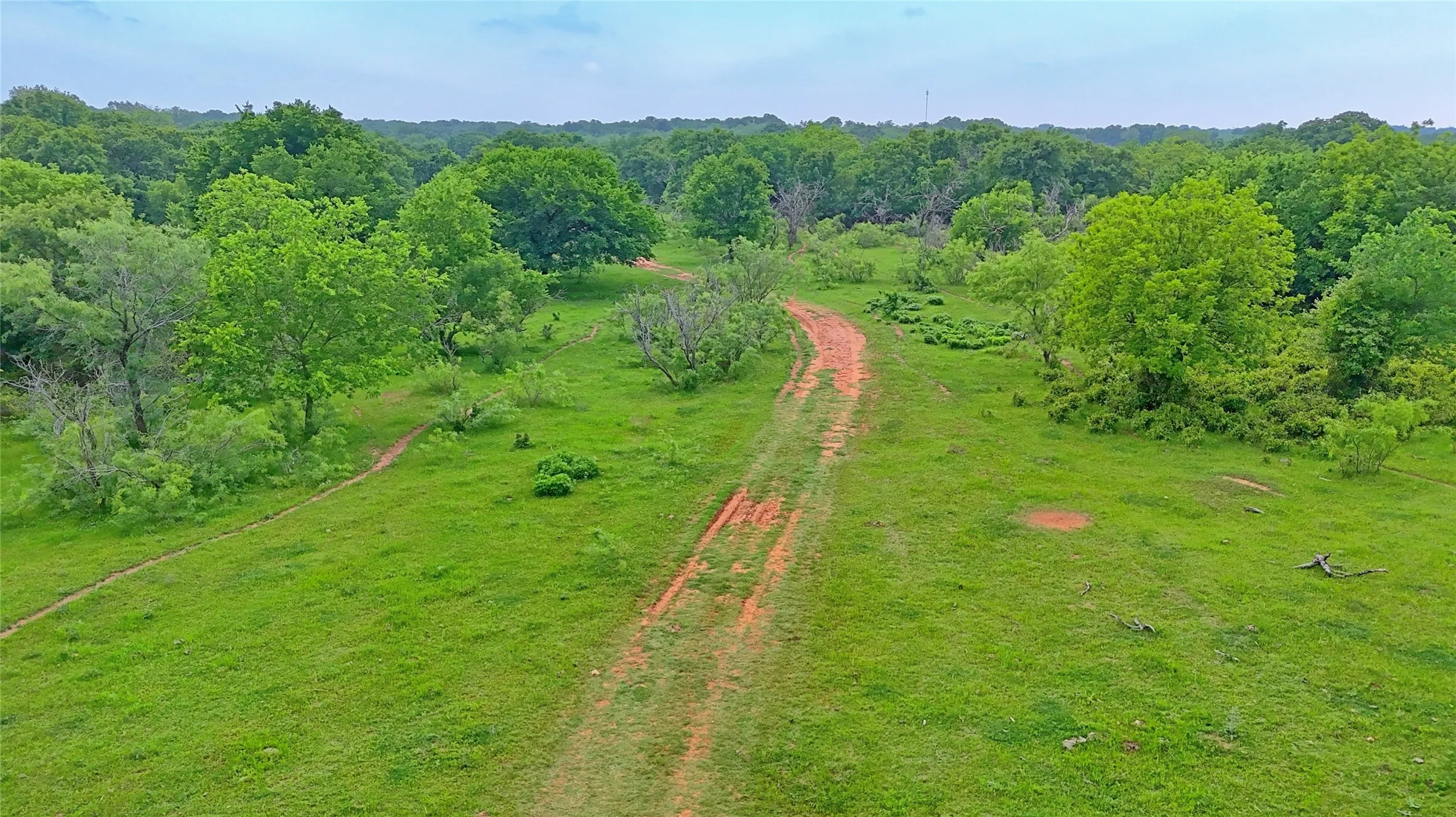 Unimproved Land For Sale in Montague County , TBD Cardwell Road, Ringgold, Texas 76261, 0, 0, Garage spaces, 0 Sqft, built in 0, Price $995,000, mls#21267830, Real Estate Agent in Ringgold, Homes For Sale in Montague county, Homes For Sale in Ringgold, Realtor in Ringgold Texas, Real Estate Brokerage Independent Realty Texas, Luminita Cordes Realtor