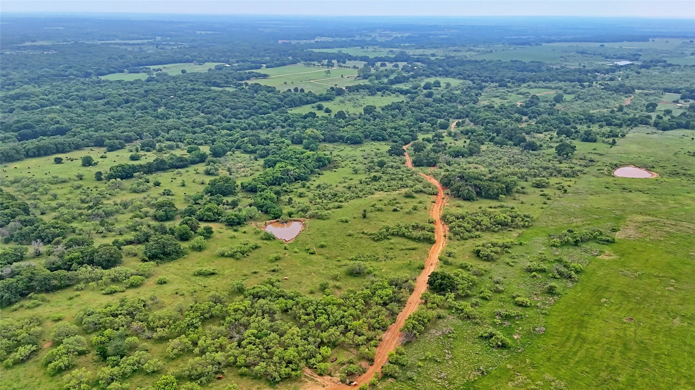 Unimproved Land For Sale in Montague County , TBD Cardwell Road, Ringgold, Texas 76261, 0, 0, Garage spaces, 0 Sqft, built in 0, Price $995,000, mls#21267830, Real Estate Agent in Ringgold, Homes For Sale in Montague county, Homes For Sale in Ringgold, Realtor in Ringgold Texas, Real Estate Brokerage Independent Realty Texas, Luminita Cordes Realtor