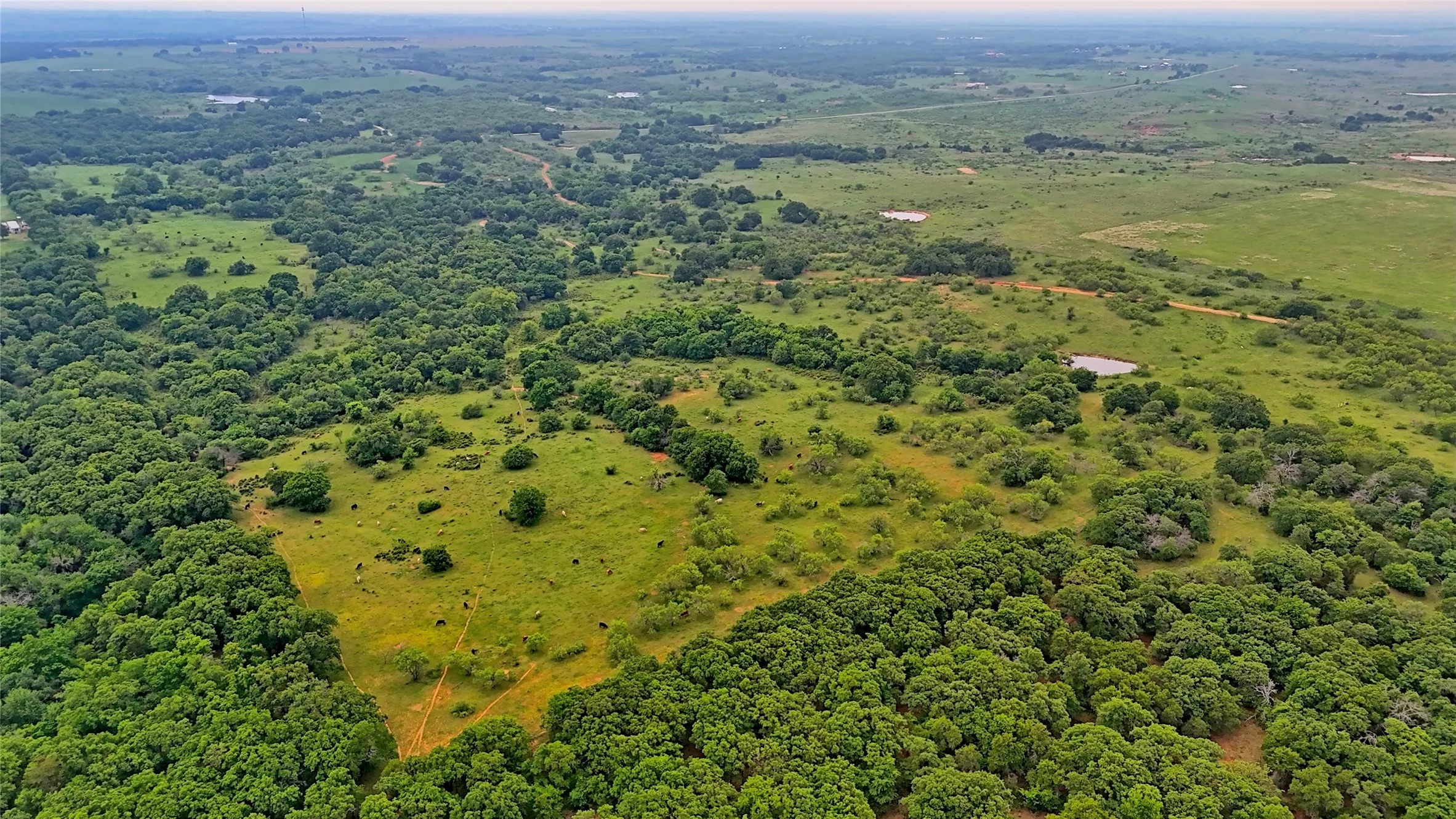 Unimproved Land For Sale in Montague County , TBD Cardwell Road, Ringgold, Texas 76261, 0, 0, Garage spaces, 0 Sqft, built in 0, Price $995,000, mls#21267830, Real Estate Agent in Ringgold, Homes For Sale in Montague county, Homes For Sale in Ringgold, Realtor in Ringgold Texas, Real Estate Brokerage Independent Realty Texas, Luminita Cordes Realtor