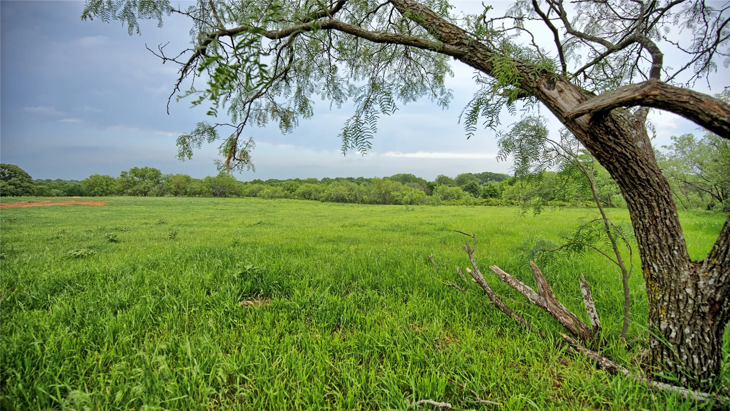 Unimproved Land For Sale in Montague County , TBD Cardwell Road, Ringgold, Texas 76261, 0, 0, Garage spaces, 0 Sqft, built in 0, Price $995,000, mls#21267830, Real Estate Agent in Ringgold, Homes For Sale in Montague county, Homes For Sale in Ringgold, Realtor in Ringgold Texas, Real Estate Brokerage Independent Realty Texas, Luminita Cordes Realtor