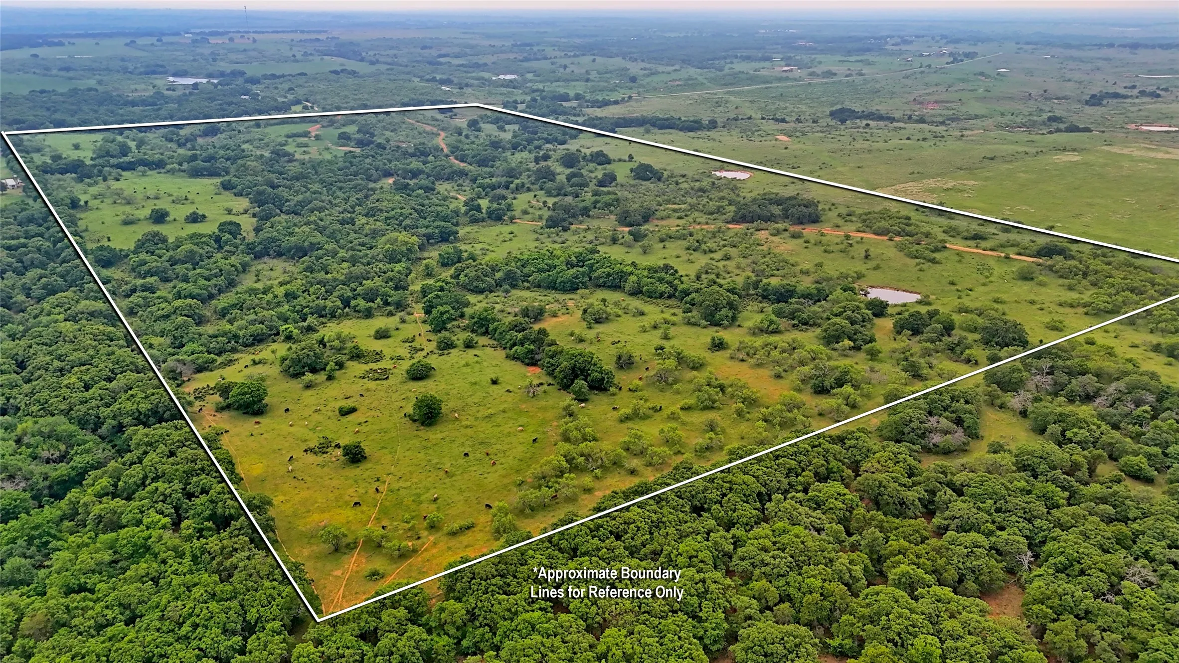 Unimproved Land For Sale in Montague County , TBD Cardwell Road, Ringgold, Texas 76261, 0, 0, Garage spaces, 0 Sqft, built in 0, Price $995,000, mls#21267830, Real Estate Agent in Ringgold, Homes For Sale in Montague county, Homes For Sale in Ringgold, Realtor in Ringgold Texas, Real Estate Brokerage Independent Realty Texas, Luminita Cordes Realtor