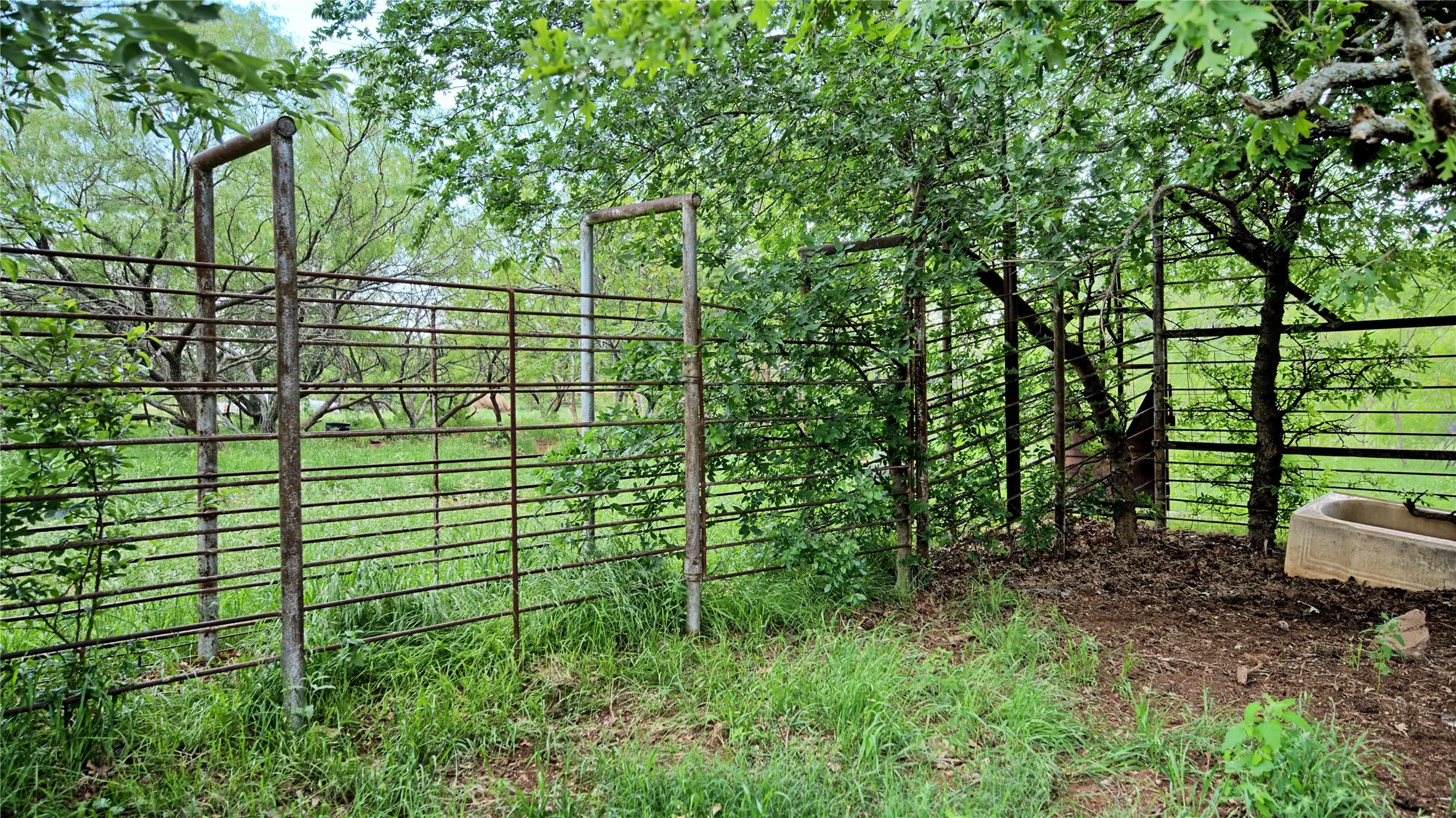 Unimproved Land For Sale in Montague County , TBD Cardwell Road, Ringgold, Texas 76261, 0, 0, Garage spaces, 0 Sqft, built in 0, Price $995,000, mls#21267830, Real Estate Agent in Ringgold, Homes For Sale in Montague county, Homes For Sale in Ringgold, Realtor in Ringgold Texas, Real Estate Brokerage Independent Realty Texas, Luminita Cordes Realtor
