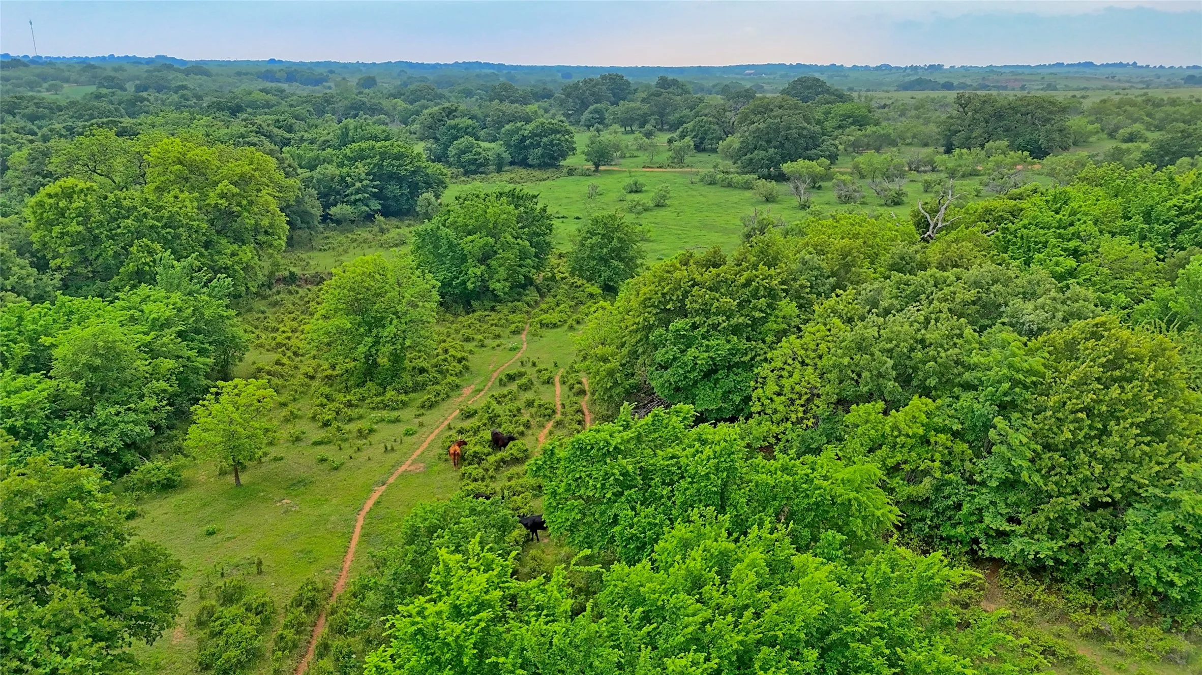 Unimproved Land For Sale in Montague County , TBD Cardwell Road, Ringgold, Texas 76261, 0, 0, Garage spaces, 0 Sqft, built in 0, Price $995,000, mls#21267830, Real Estate Agent in Ringgold, Homes For Sale in Montague county, Homes For Sale in Ringgold, Realtor in Ringgold Texas, Real Estate Brokerage Independent Realty Texas, Luminita Cordes Realtor