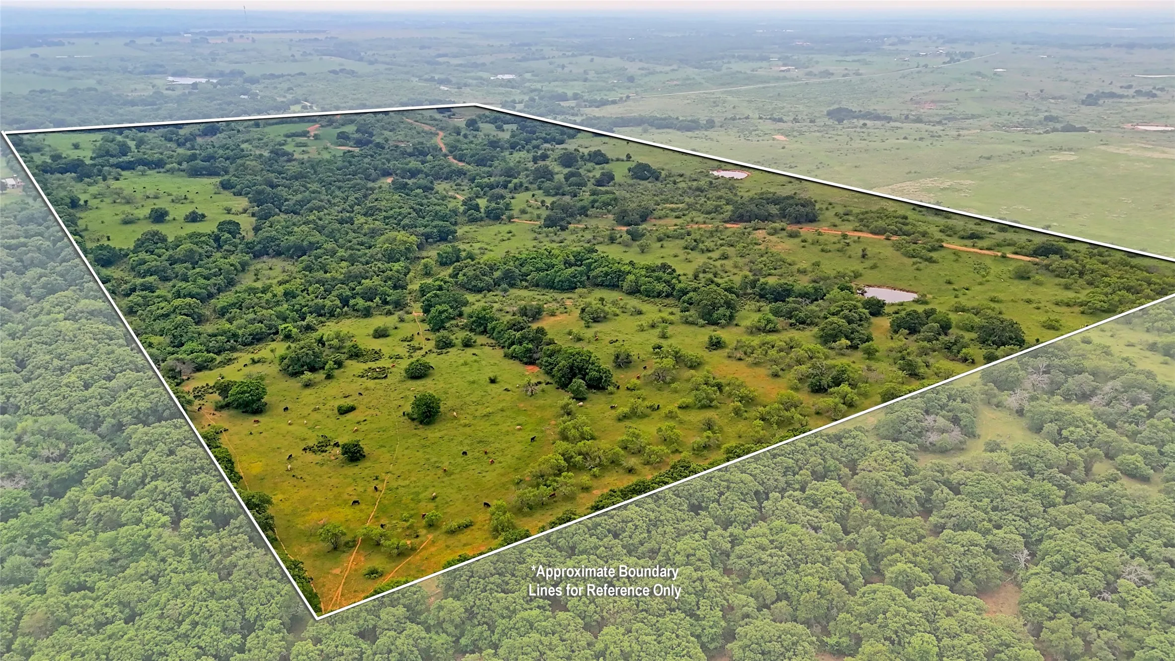 Unimproved Land For Sale in Montague County , TBD Cardwell Road, Ringgold, Texas 76261, 0, 0, Garage spaces, 0 Sqft, built in 0, Price $995,000, mls#21267830, Real Estate Agent in Ringgold, Homes For Sale in Montague county, Homes For Sale in Ringgold, Realtor in Ringgold Texas, Real Estate Brokerage Independent Realty Texas, Luminita Cordes Realtor