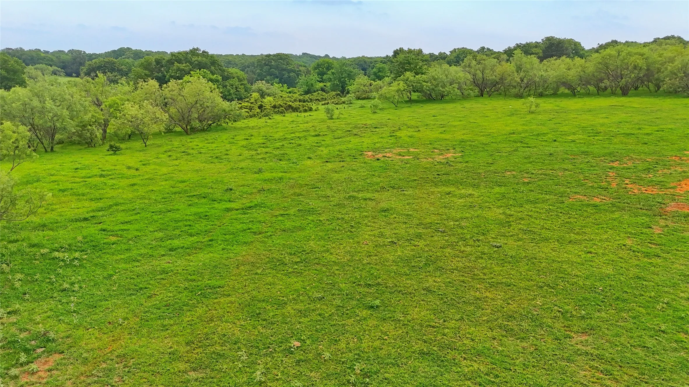 Unimproved Land For Sale in Montague County , TBD Cardwell Road, Ringgold, Texas 76261, 0, 0, Garage spaces, 0 Sqft, built in 0, Price $995,000, mls#21267830, Real Estate Agent in Ringgold, Homes For Sale in Montague county, Homes For Sale in Ringgold, Realtor in Ringgold Texas, Real Estate Brokerage Independent Realty Texas, Luminita Cordes Realtor