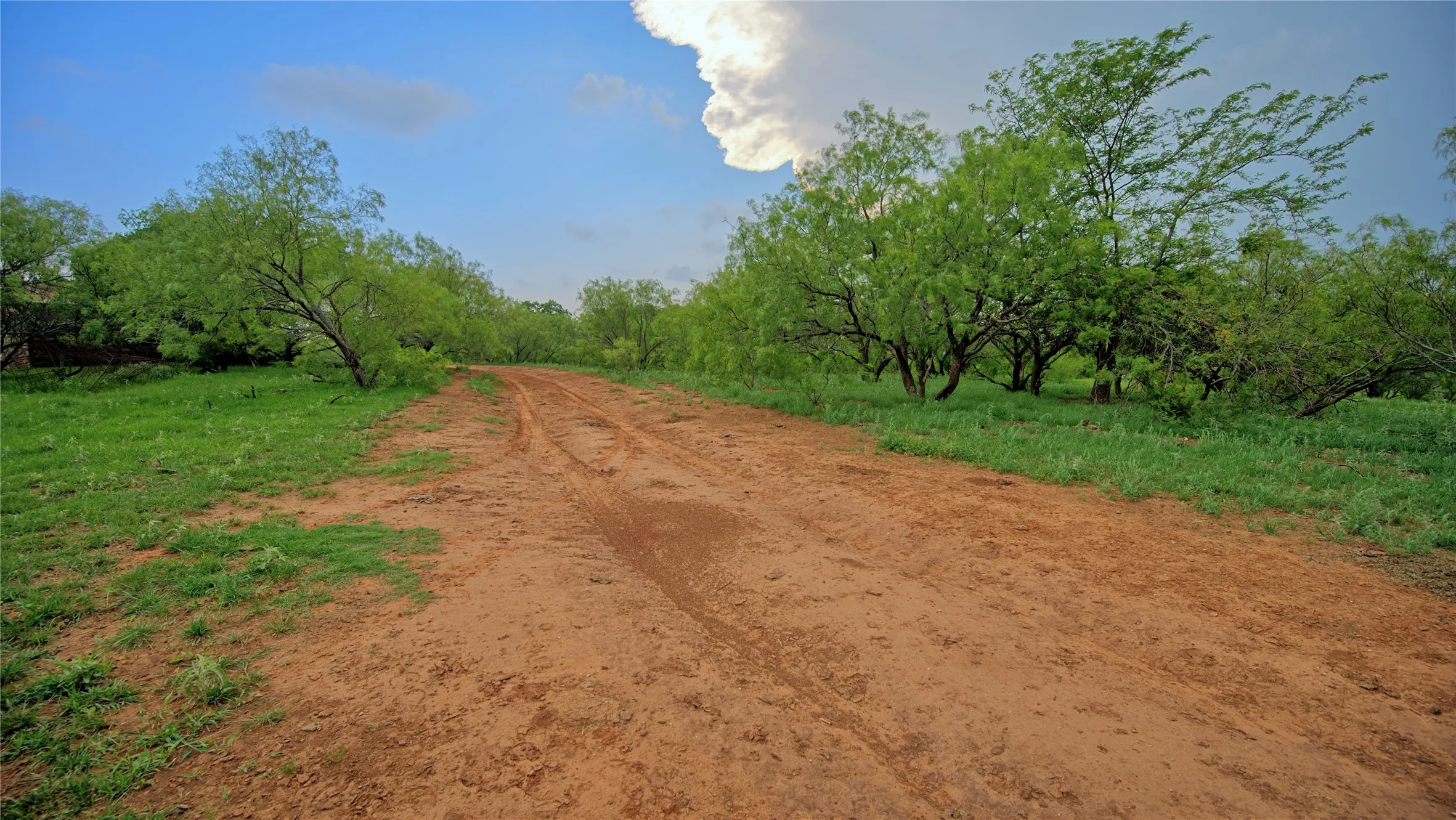 Unimproved Land For Sale in Montague County , TBD Cardwell Road, Ringgold, Texas 76261, 0, 0, Garage spaces, 0 Sqft, built in 0, Price $995,000, mls#21267830, Real Estate Agent in Ringgold, Homes For Sale in Montague county, Homes For Sale in Ringgold, Realtor in Ringgold Texas, Real Estate Brokerage Independent Realty Texas, Luminita Cordes Realtor