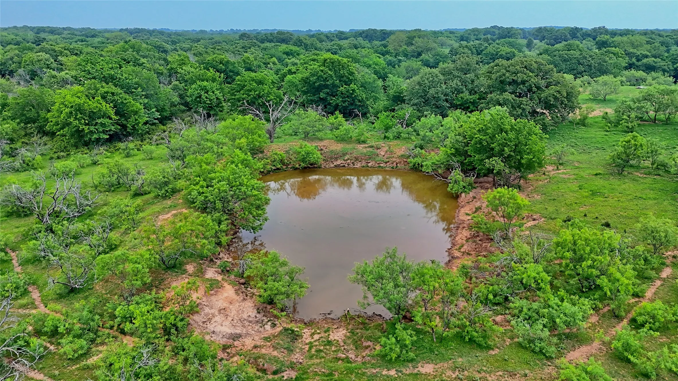 Unimproved Land For Sale in Montague County , TBD Cardwell Road, Ringgold, Texas 76261, 0, 0, Garage spaces, 0 Sqft, built in 0, Price $995,000, mls#21267830, Real Estate Agent in Ringgold, Homes For Sale in Montague county, Homes For Sale in Ringgold, Realtor in Ringgold Texas, Real Estate Brokerage Independent Realty Texas, Luminita Cordes Realtor