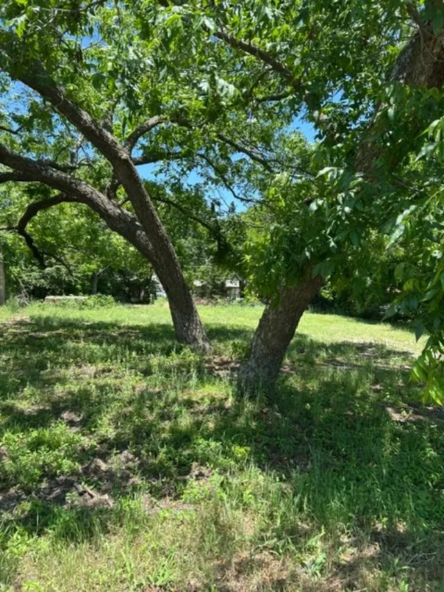 Unimproved Land For Sale in Grayson County , 116 W Walnut Street, Whitewright, Texas 75491, 0, 0, Garage spaces, 0 Sqft, built in 0, Price $52,000, mls#21272975, Real Estate Agent in Whitewright, Homes For Sale in Grayson county, Homes For Sale in Whitewright, Realtor in Whitewright Texas, Real Estate Brokerage Independent Realty Texas, Luminita Cordes Realtor