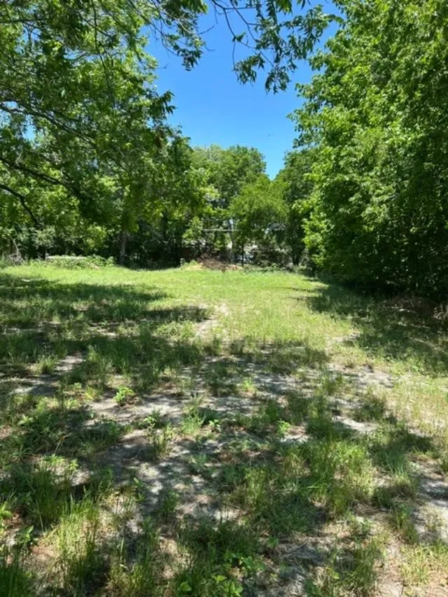 Unimproved Land For Sale in Grayson County , 116 W Walnut Street, Whitewright, Texas 75491, 0, 0, Garage spaces, 0 Sqft, built in 0, Price $52,000, mls#21272975, Real Estate Agent in Whitewright, Homes For Sale in Grayson county, Homes For Sale in Whitewright, Realtor in Whitewright Texas, Real Estate Brokerage Independent Realty Texas, Luminita Cordes Realtor