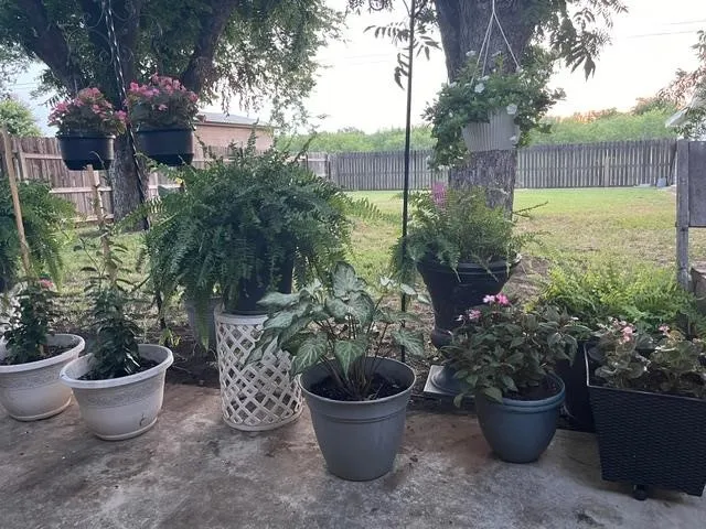 Single Family Residence For Sale in Brown County , 2815 Good Shepherd Drive, Brownwood, Texas 76801, 3 Bedroom, 2 Bathroom, 2 Garage spaces, 1,938 Sqft, built in 1983, mls#21273031, Real Estate Agent in Brownwood, Homes For Sale in Brown county, Homes For Sale in Brownwood, Realtor in Brownwood Texas, Real Estate Brokerage Independent Realty Texas, Luminita Cordes Realtor
