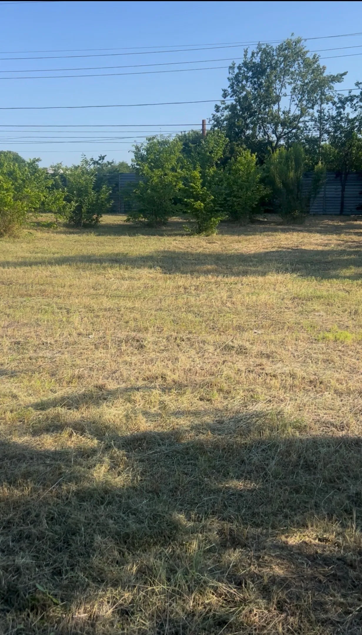 Expansive open lot featuring mature trees and a partial privacy fence