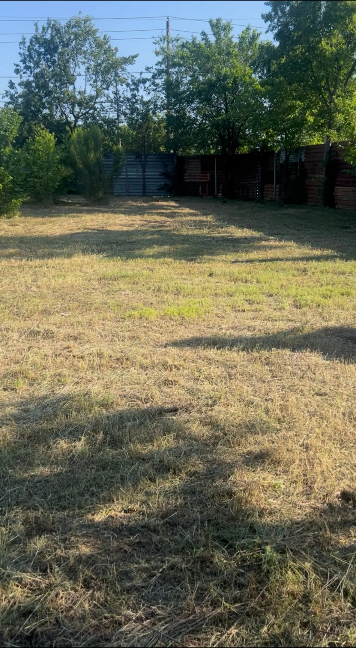 Expansive grassy area featuring mature trees and a privacy fence at the perimeter