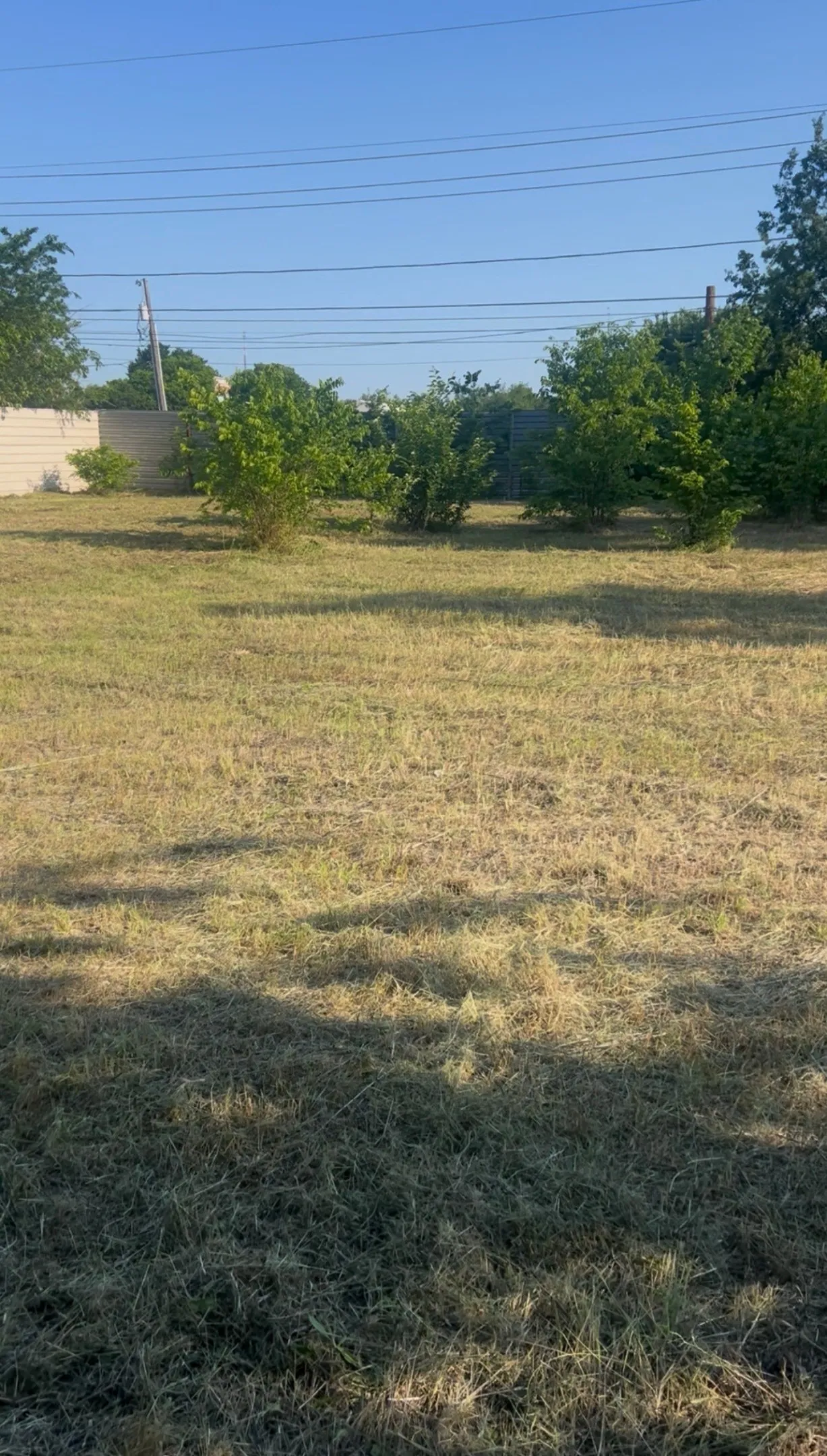 Expansive undeveloped lot featuring mature trees and a perimeter fence