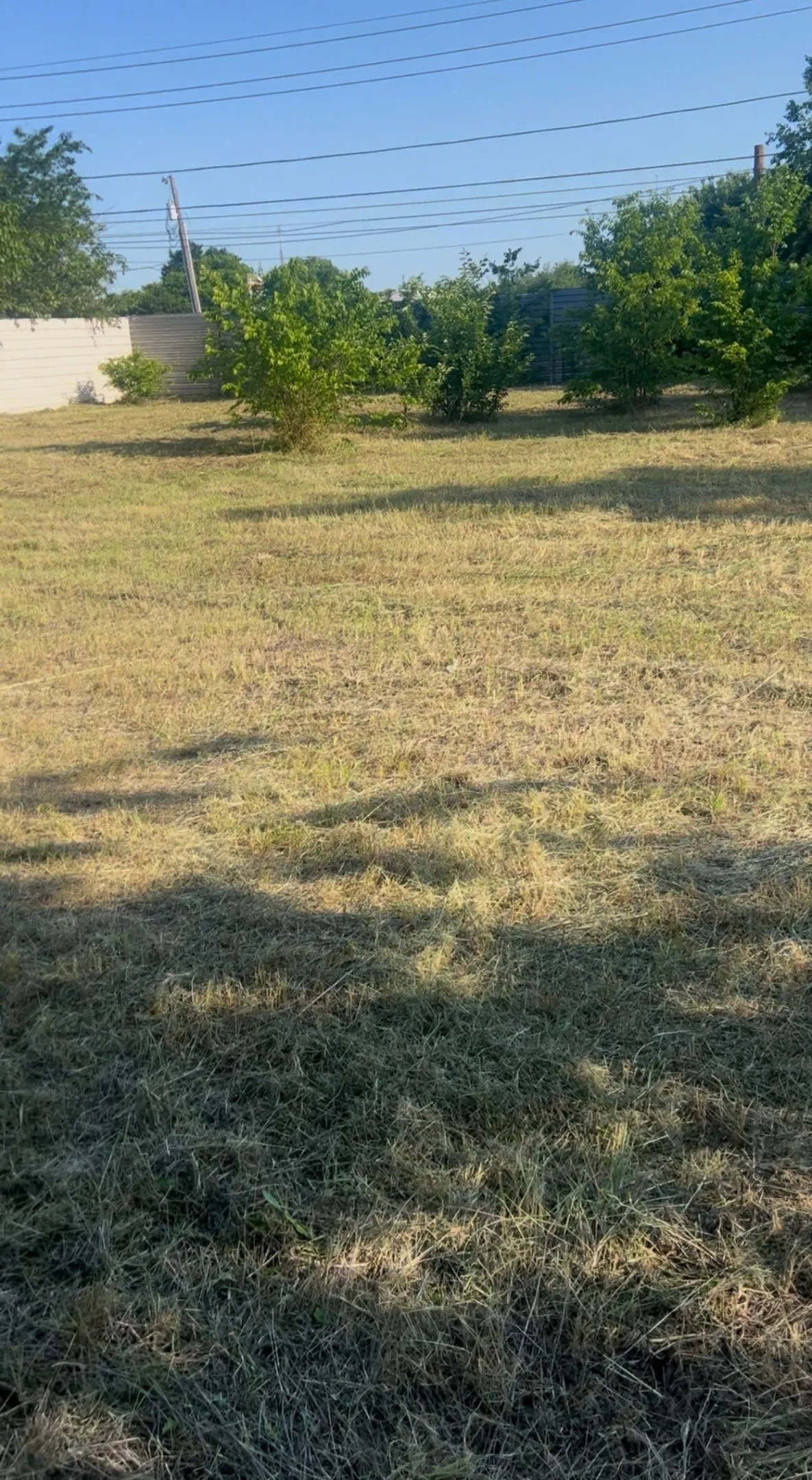 Expansive outdoor space featuring a large grassy area, mature trees, and perimeter fencing