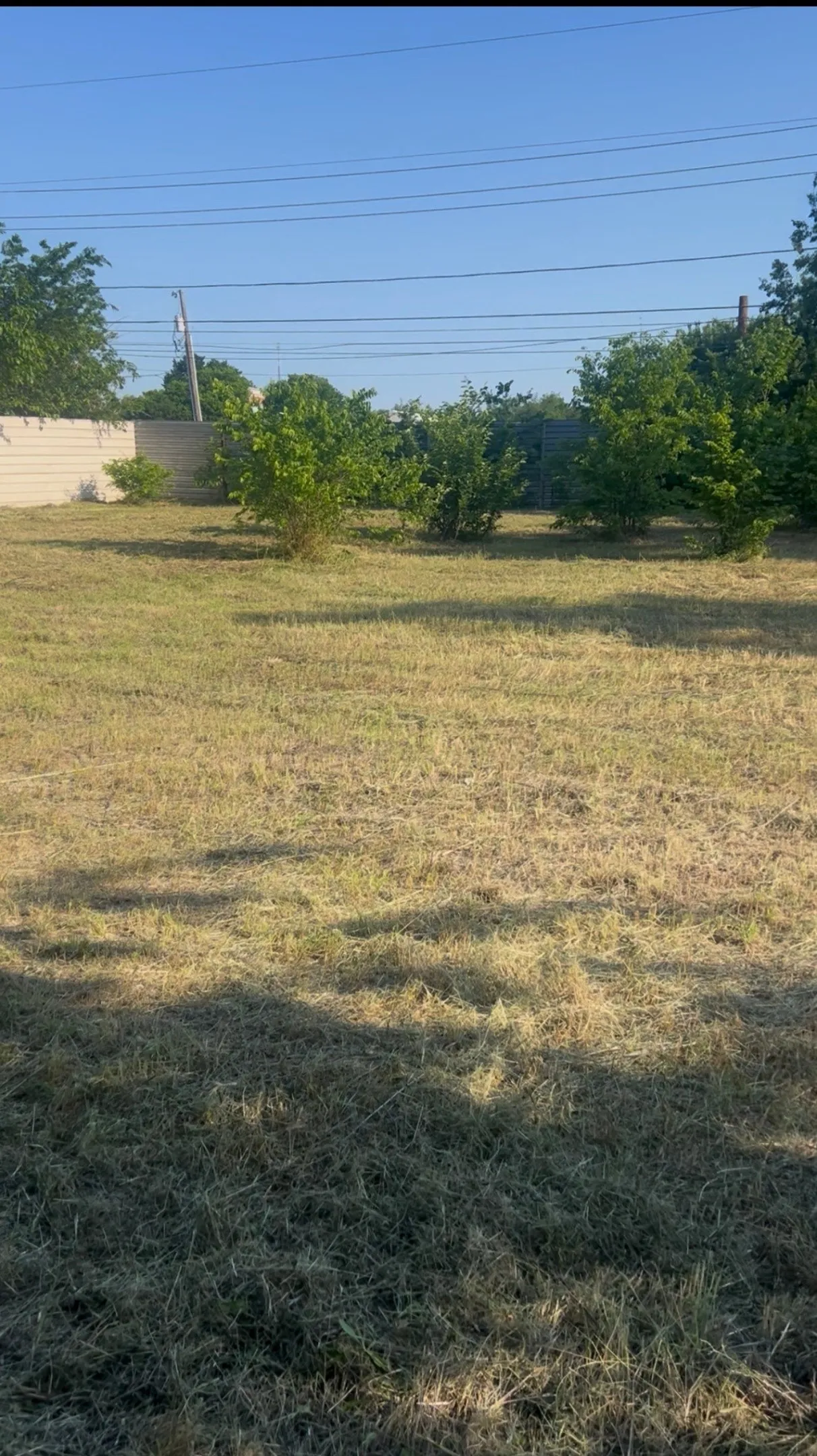 Expansive lot featuring a large grassy area, established perimeter fencing, and mature shrubbery