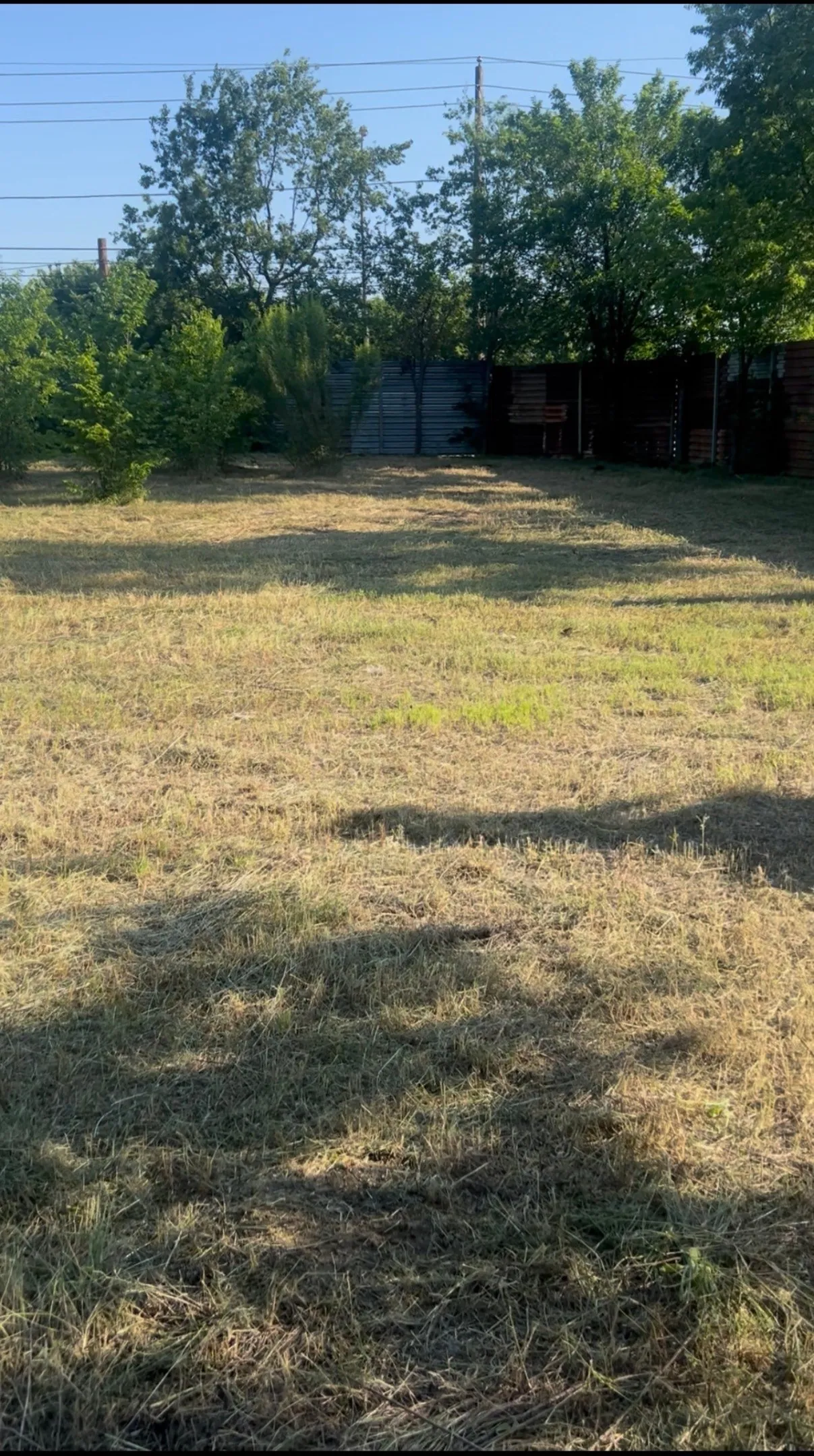 Expansive lot featuring mature perimeter trees and a combination of wood and corrugated fencing