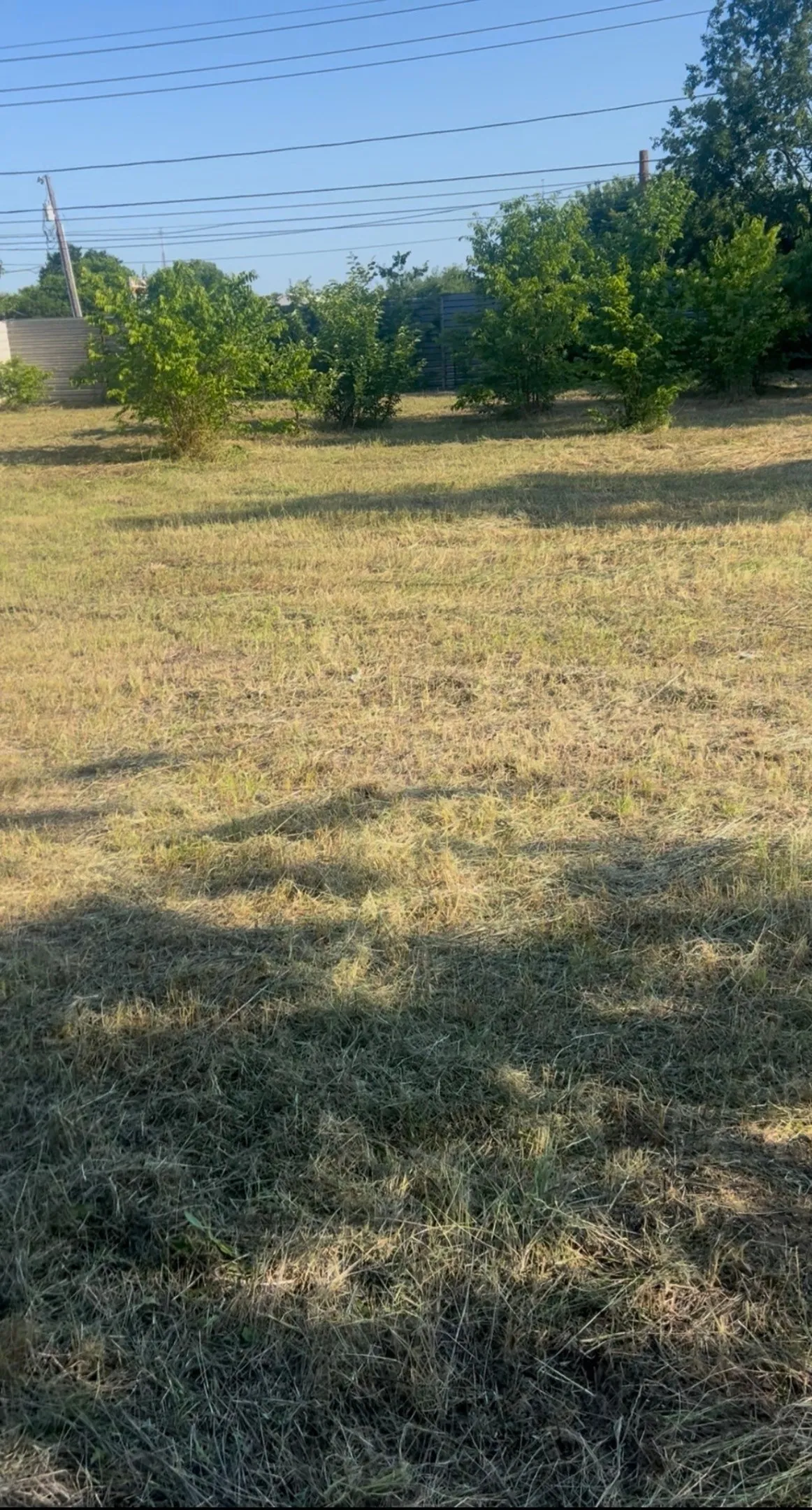 Expansive land parcel featuring mature green trees and a clear sky