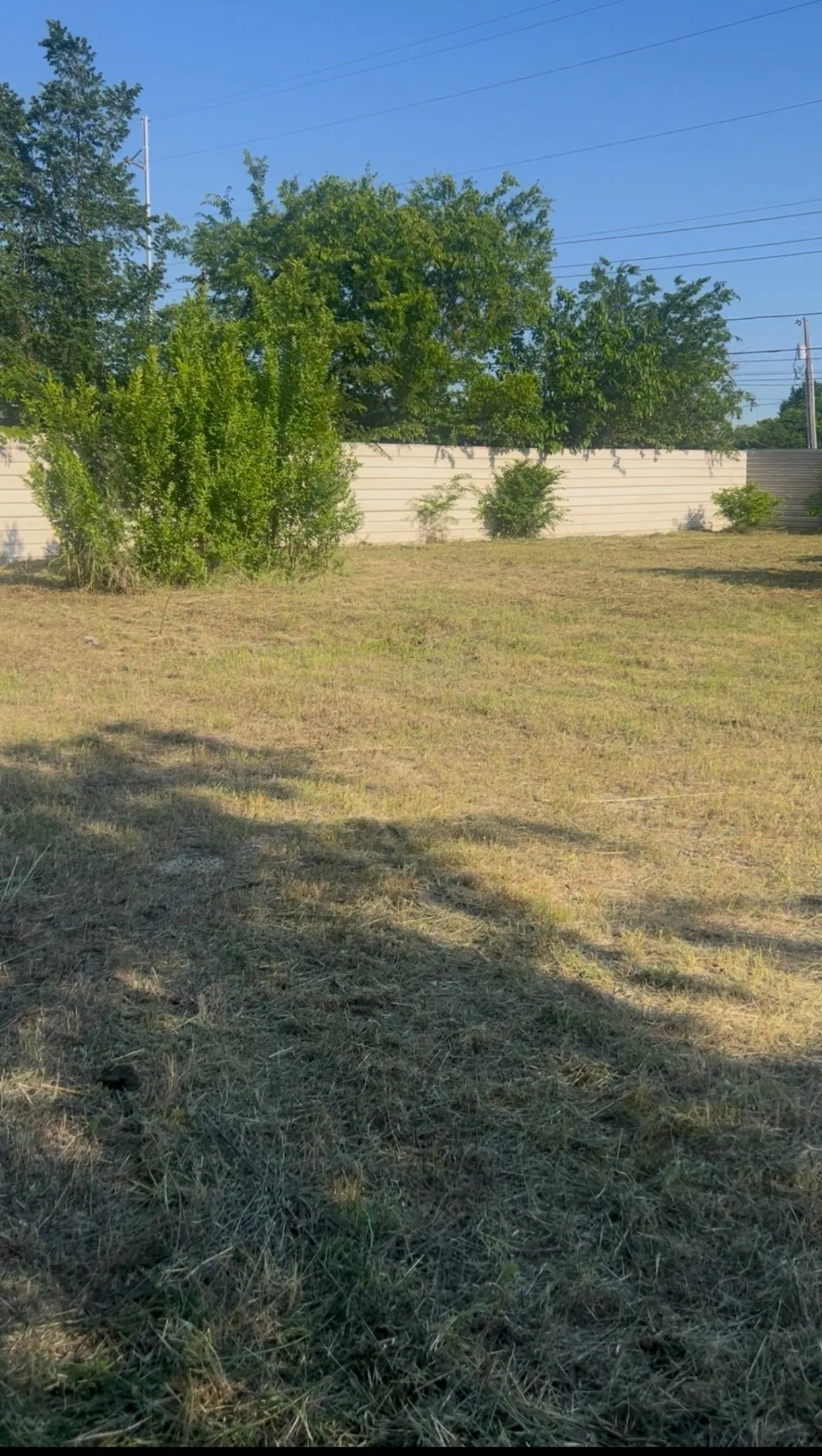 Expansive grassy area featuring a perimeter fence, varied green foliage, and natural light