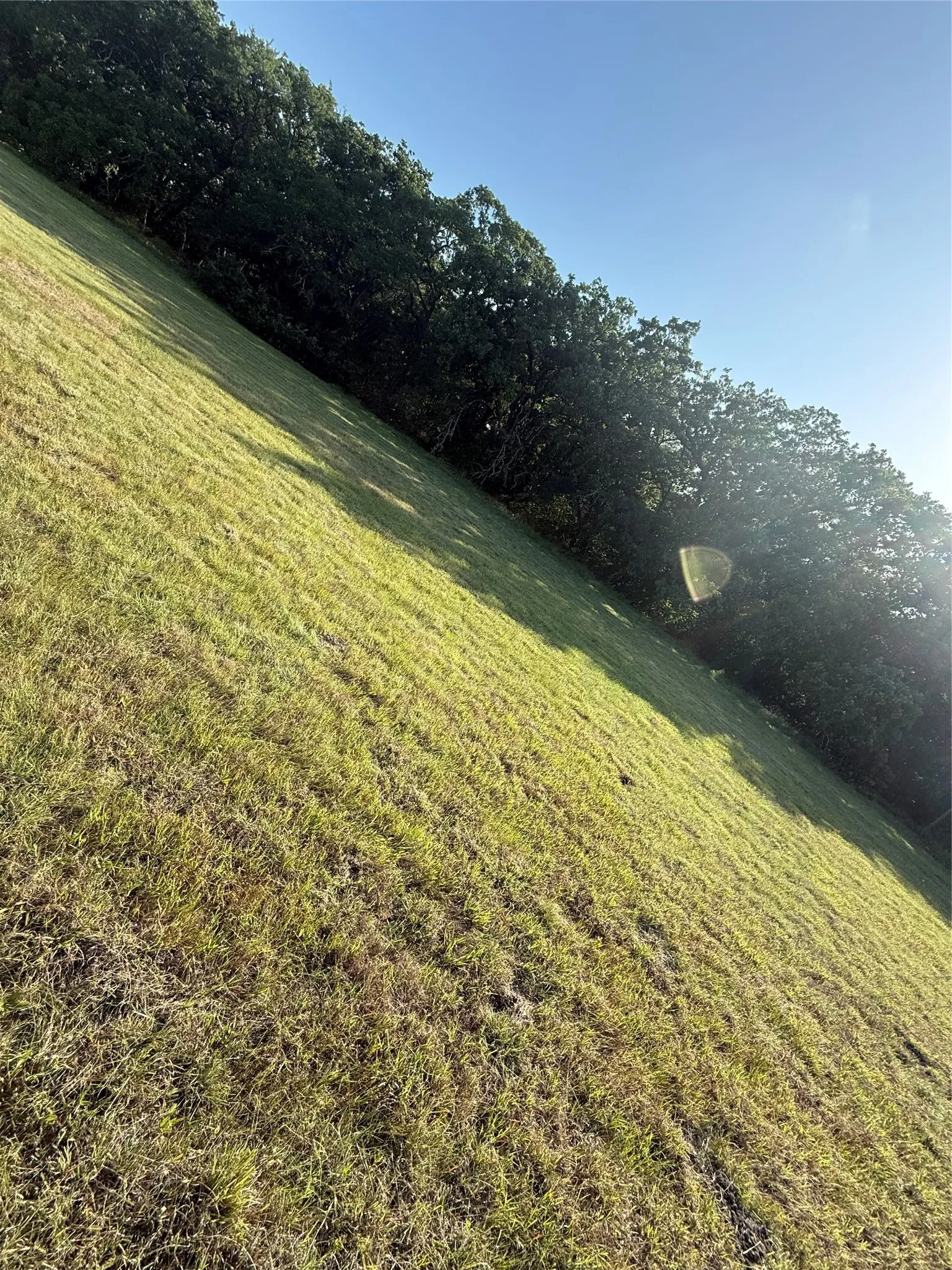 Improved Land For Sale in Mc Lennan County , TBD Beaver Street, Riesel, Texas 76682, 0, 0, Garage spaces, 0 Sqft, built in 0, Price $49,000, mls#21271859, Real Estate Agent in Riesel, Homes For Sale in Mc Lennan county, Homes For Sale in Riesel, Realtor in Riesel Texas, Real Estate Brokerage Independent Realty Texas, Luminita Cordes Realtor