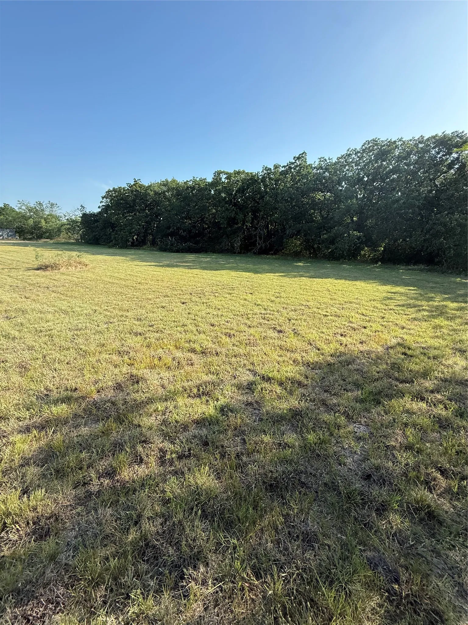 Improved Land For Sale in Mc Lennan County , TBD Beaver Street, Riesel, Texas 76682, 0, 0, Garage spaces, 0 Sqft, built in 0, Price $49,000, mls#21271859, Real Estate Agent in Riesel, Homes For Sale in Mc Lennan county, Homes For Sale in Riesel, Realtor in Riesel Texas, Real Estate Brokerage Independent Realty Texas, Luminita Cordes Realtor
