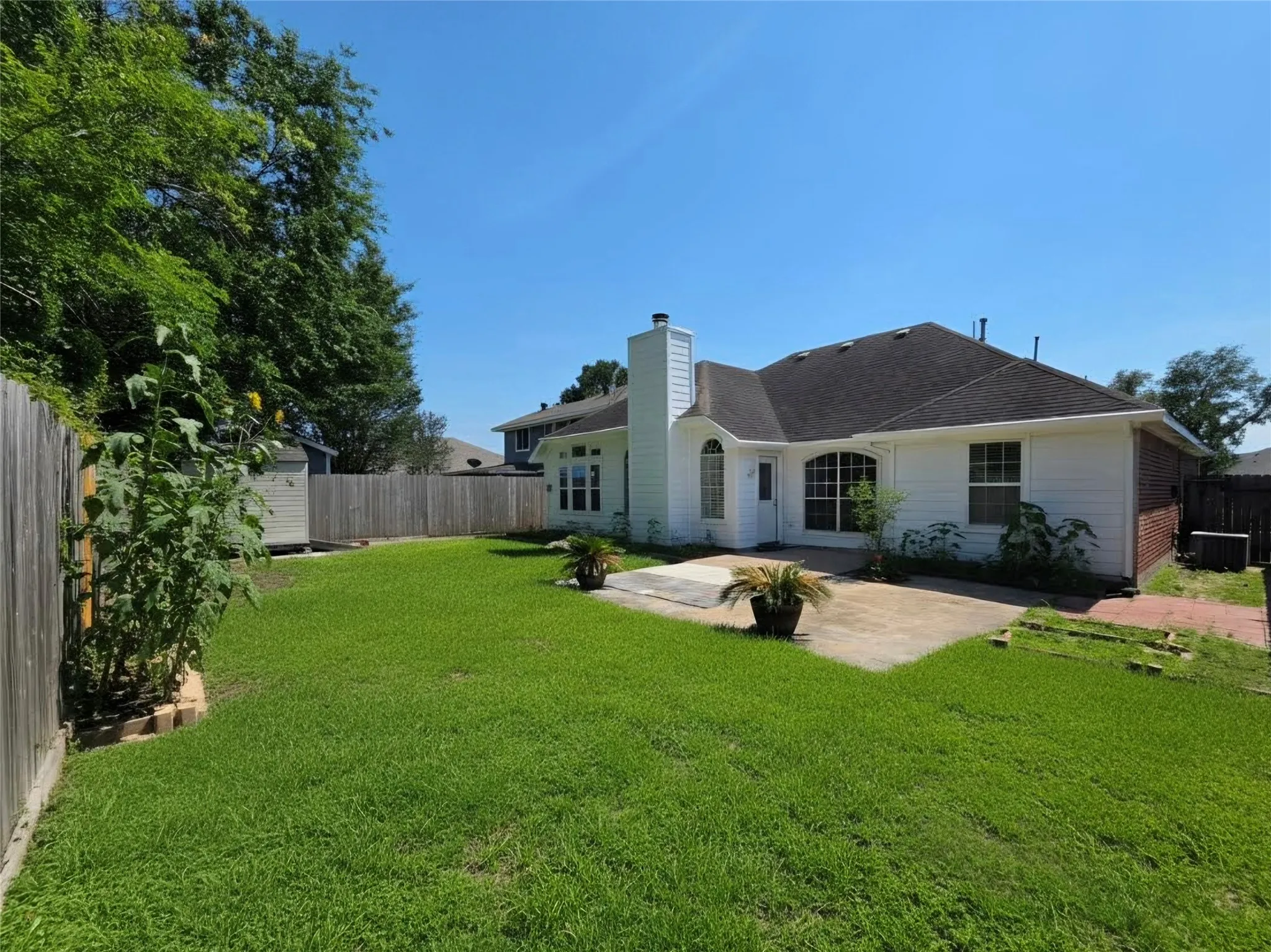 Spacious backyard featuring a manicured lawn, concrete patio, and mature perimeter trees providing natural shading