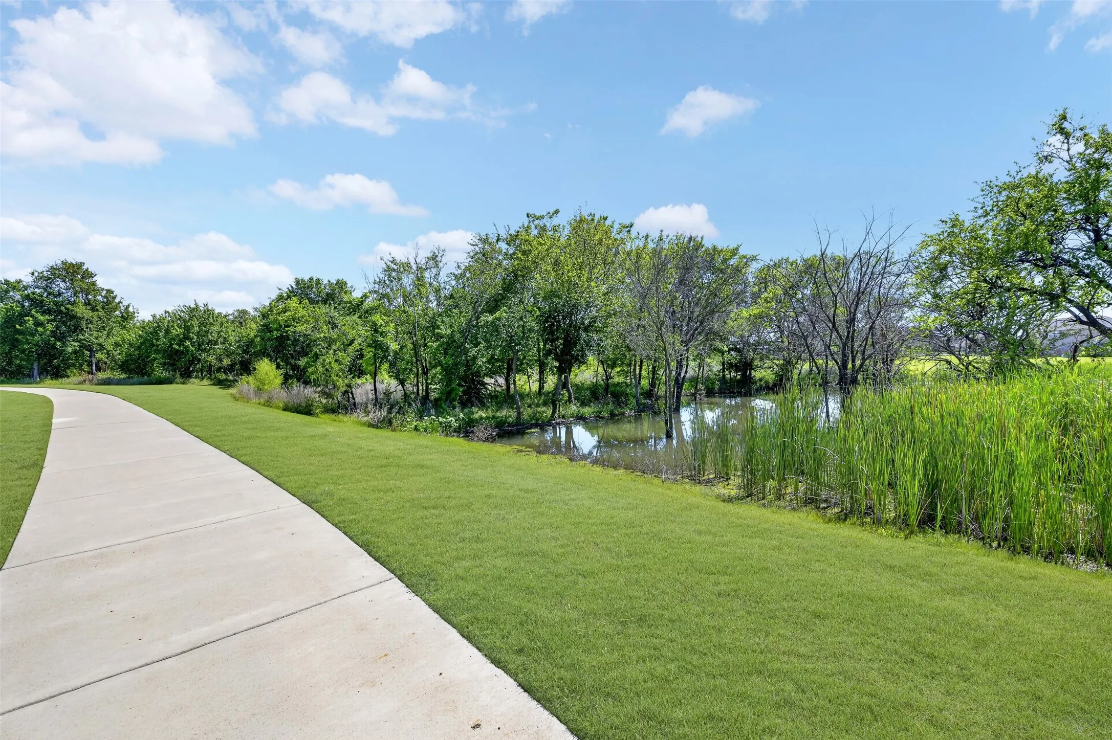 Paved pathway beside a green lawn, bordering a natural water feature with mature trees and tall grasses