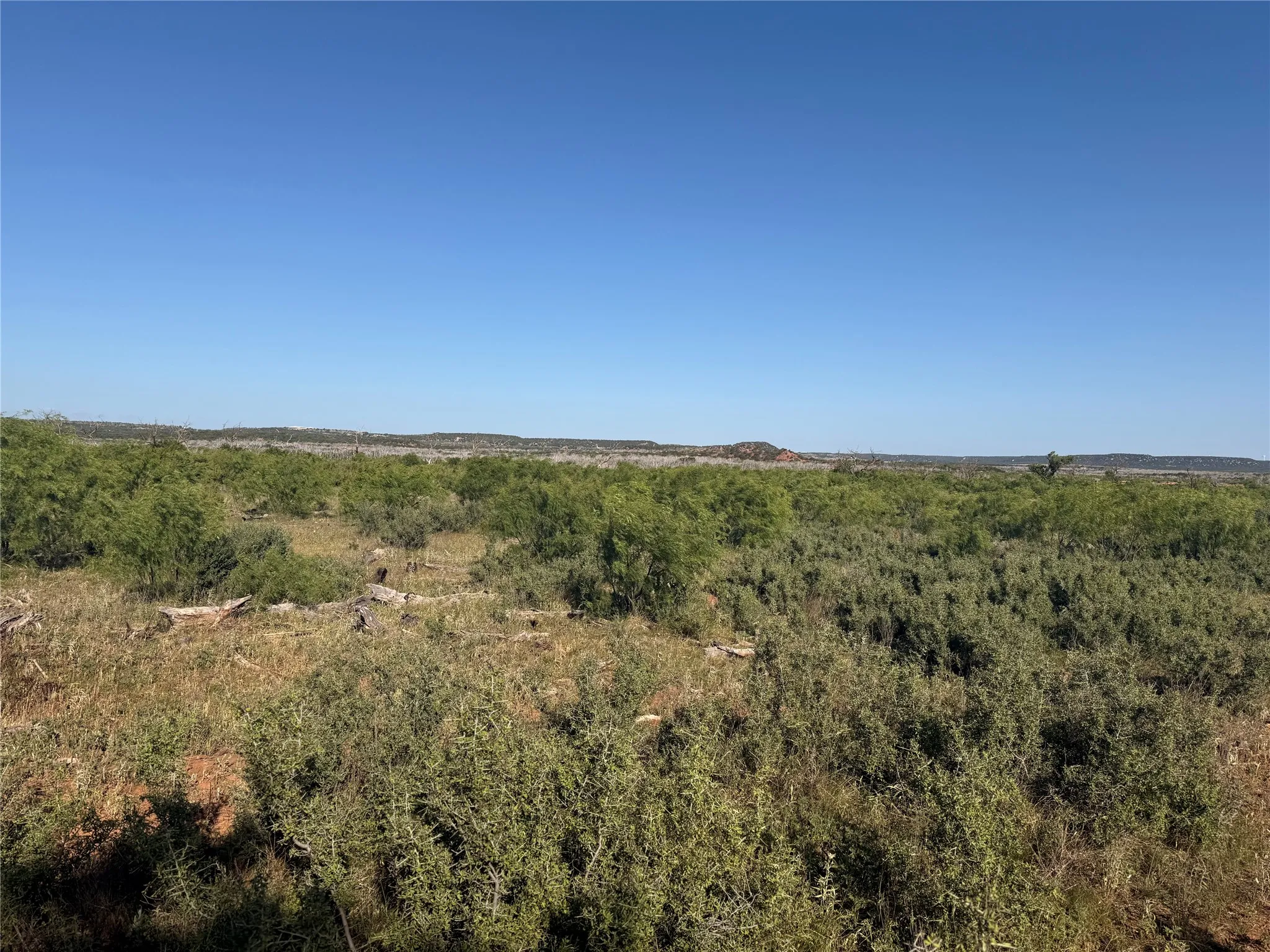 Ranch For Sale in Taylor County , 180 acres TBD CR 343, Merkel, Texas 79536, 0, 0, Garage spaces, 0 Sqft, built in 0, Price $684,000, mls#21270829, Real Estate Agent in Merkel, Homes For Sale in Taylor county, Homes For Sale in Merkel, Realtor in Merkel Texas, Real Estate Brokerage Independent Realty Texas, Luminita Cordes Realtor