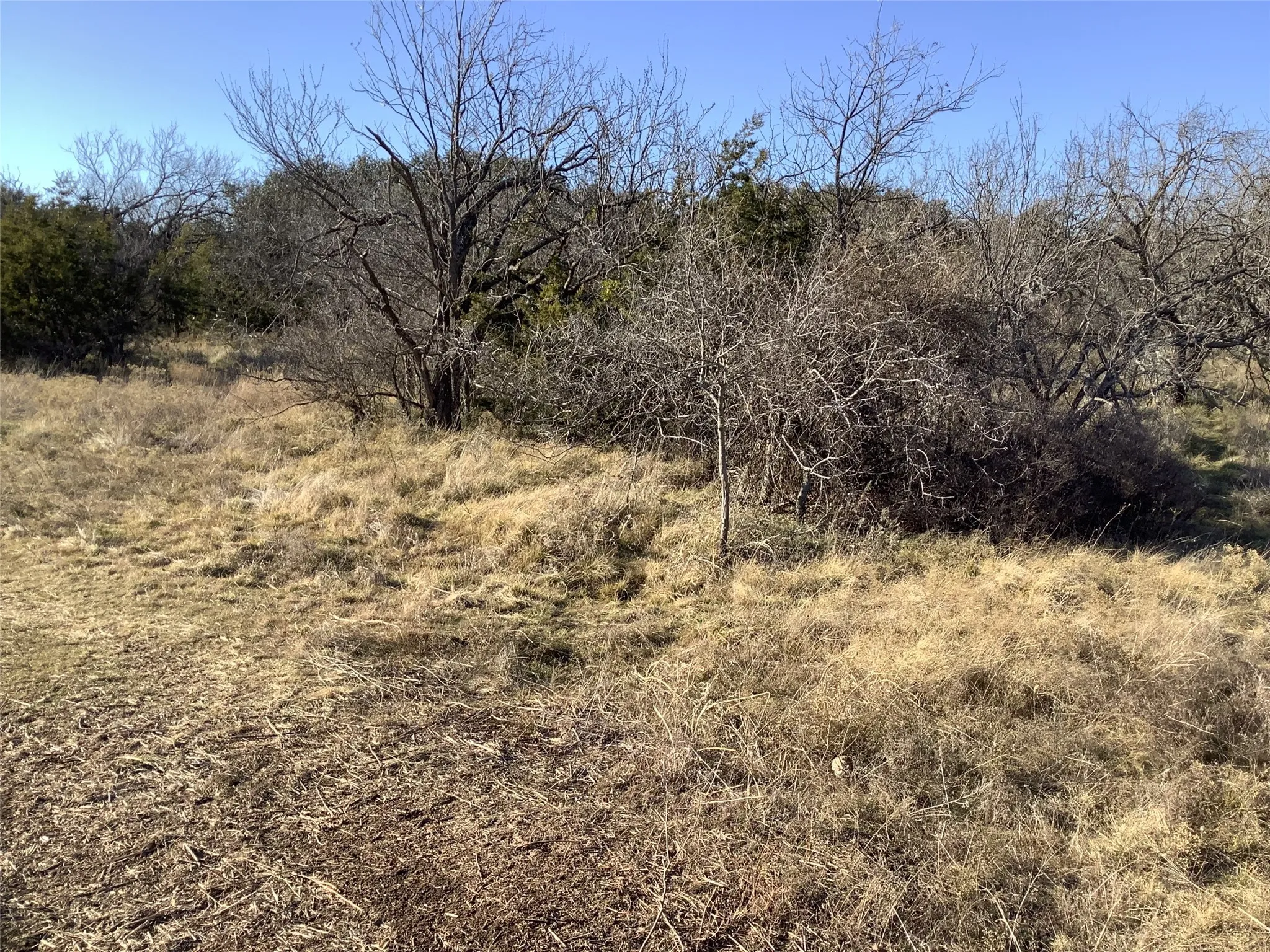 Ranch For Sale in Taylor County , 180 acres TBD CR 343, Merkel, Texas 79536, 0, 0, Garage spaces, 0 Sqft, built in 0, Price $684,000, mls#21270829, Real Estate Agent in Merkel, Homes For Sale in Taylor county, Homes For Sale in Merkel, Realtor in Merkel Texas, Real Estate Brokerage Independent Realty Texas, Luminita Cordes Realtor